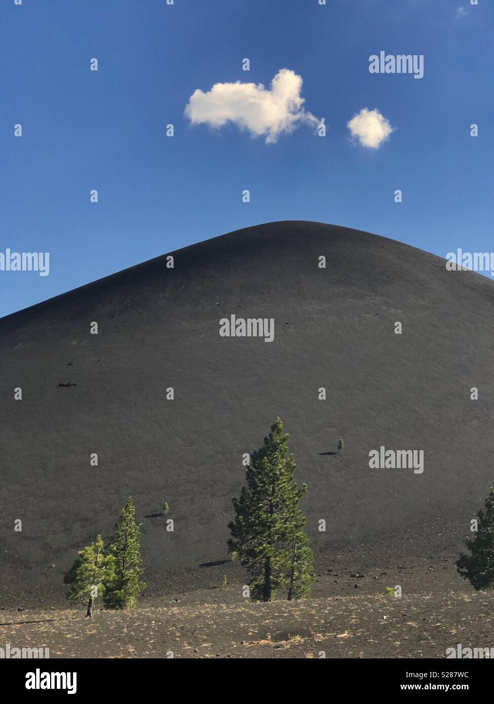 Pine trees and Cinder Cone, Lassen Volcanic National Park, California Stock Photo
