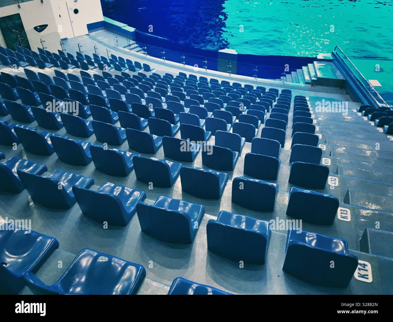 Rows of blue sits in a dolphinarium Stock Photo