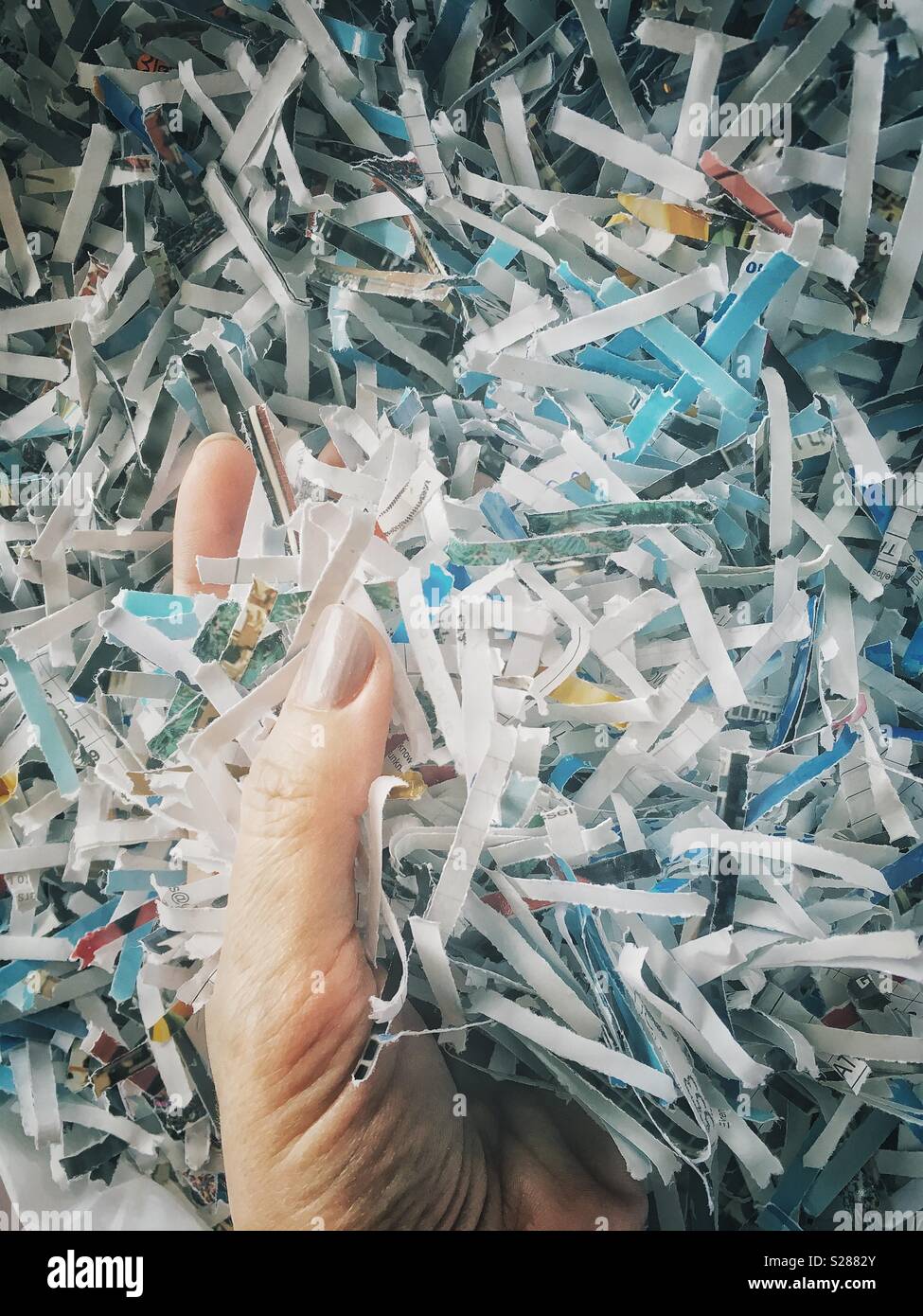 Female hand holding shredded documents. Confidentiality concept. - Smartphone Captured Stock Image