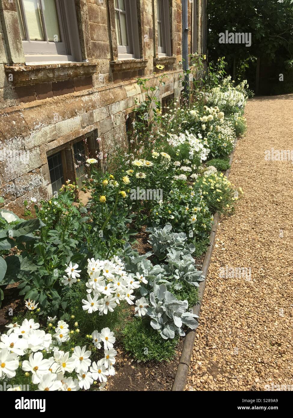 White flower bed hi-res stock photography and images - Alamy