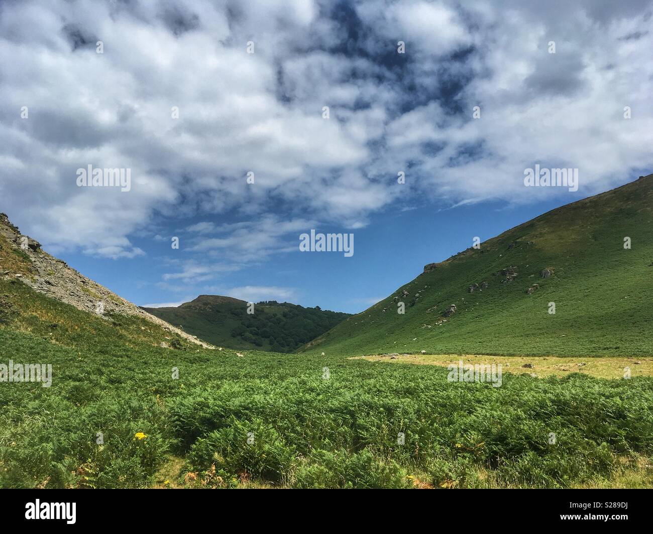 The Valley of Rocks North Devon - Smartphone Captured Stock Image