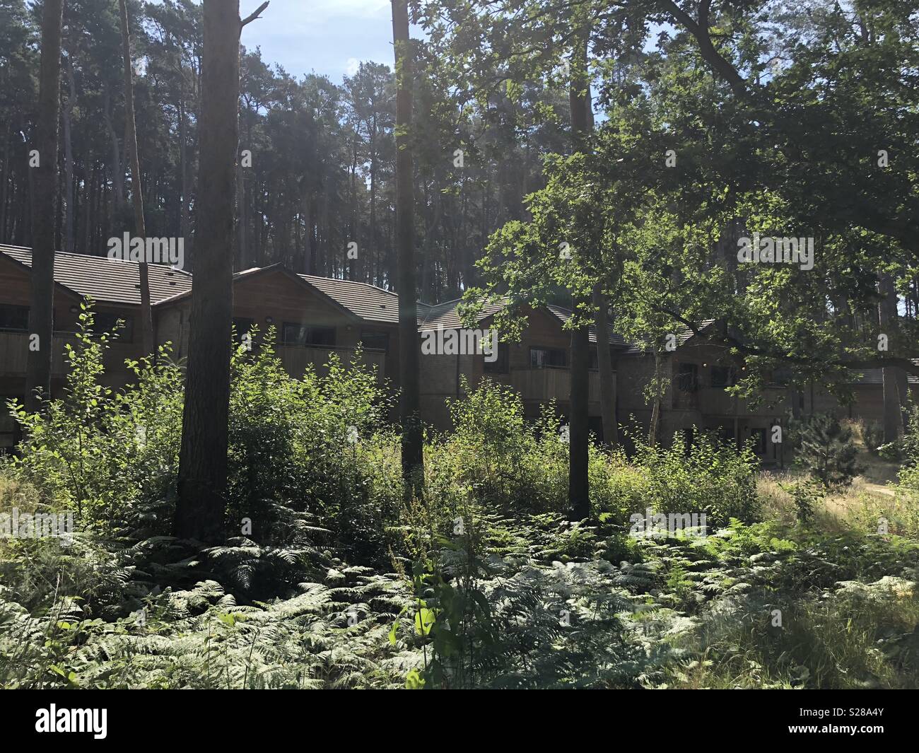 Woburn Center parcs Stock Photo Alamy