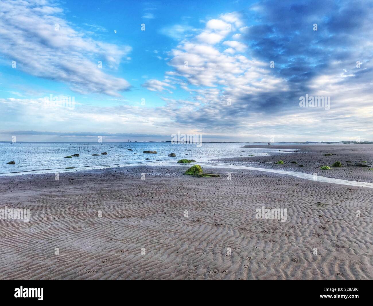 Sandy beach Stock Photo