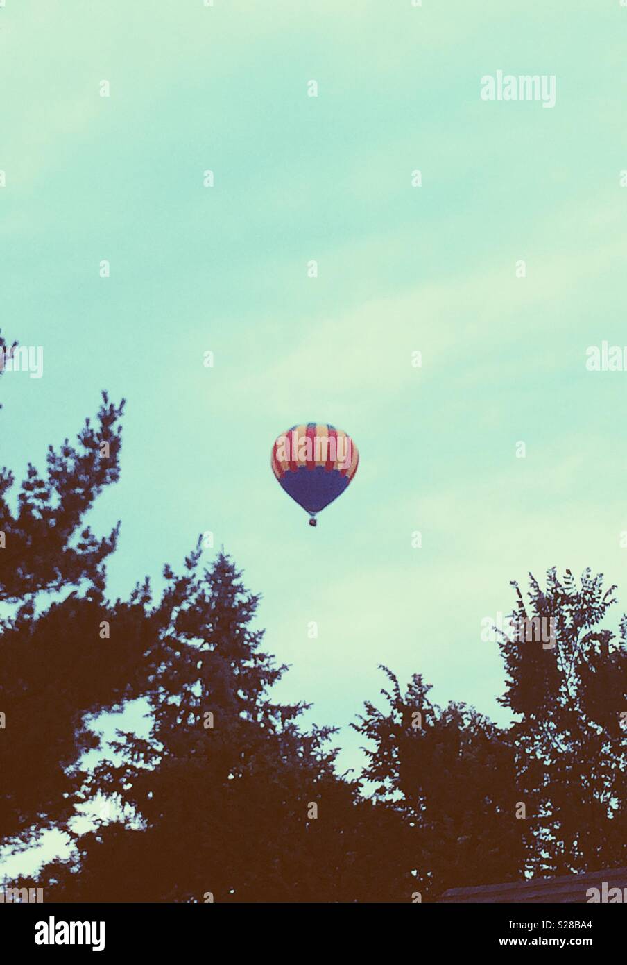 Hot air balloon flying over tree tops - Smartphone Captured Stock Image