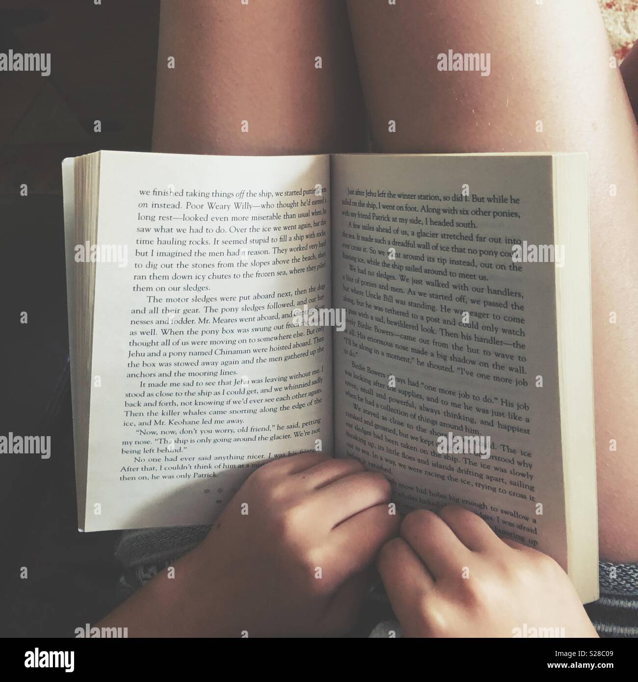 Perspective image of girl reading paperback novel on lap with legs and hands in view - Smartphone Captured Stock Image