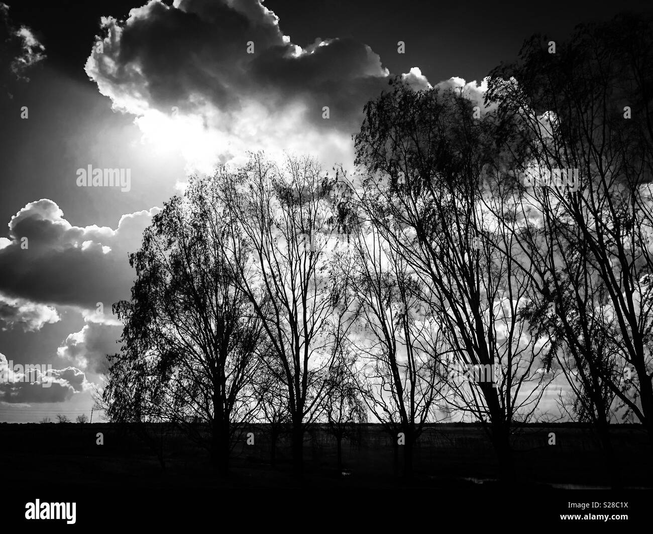 Landscape view in a cloudy day. La Plata, Argentina - Smartphone Captured Stock Image