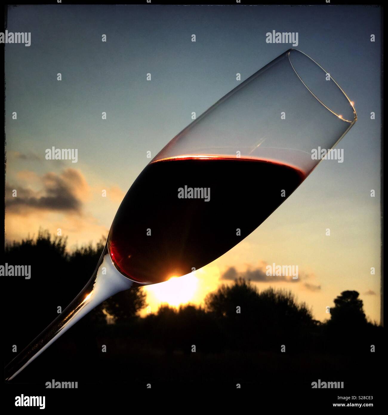 A glass of homemade sparkling red Syrah wine at sunset, Catalonia, Spain. - Smartphone Captured Stock Image