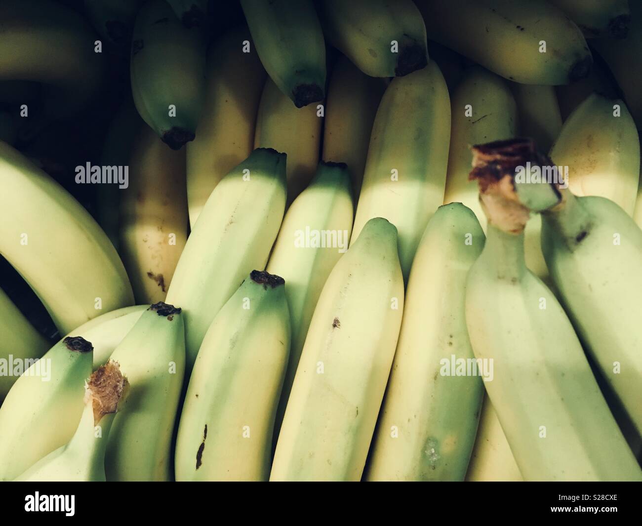 Bananas upside down Stock Photo Alamy