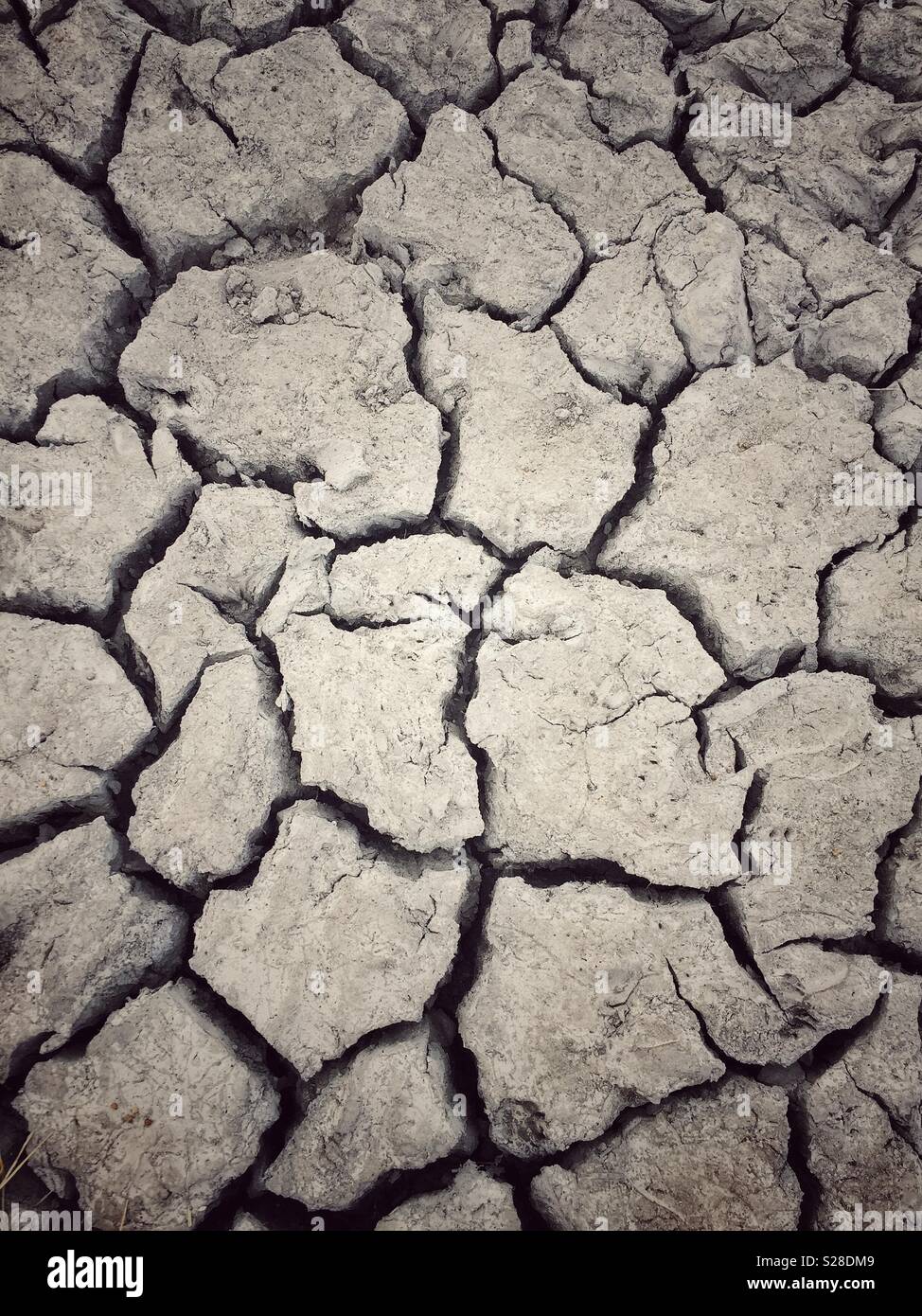 Dry pond bed - Smartphone Captured Stock Image