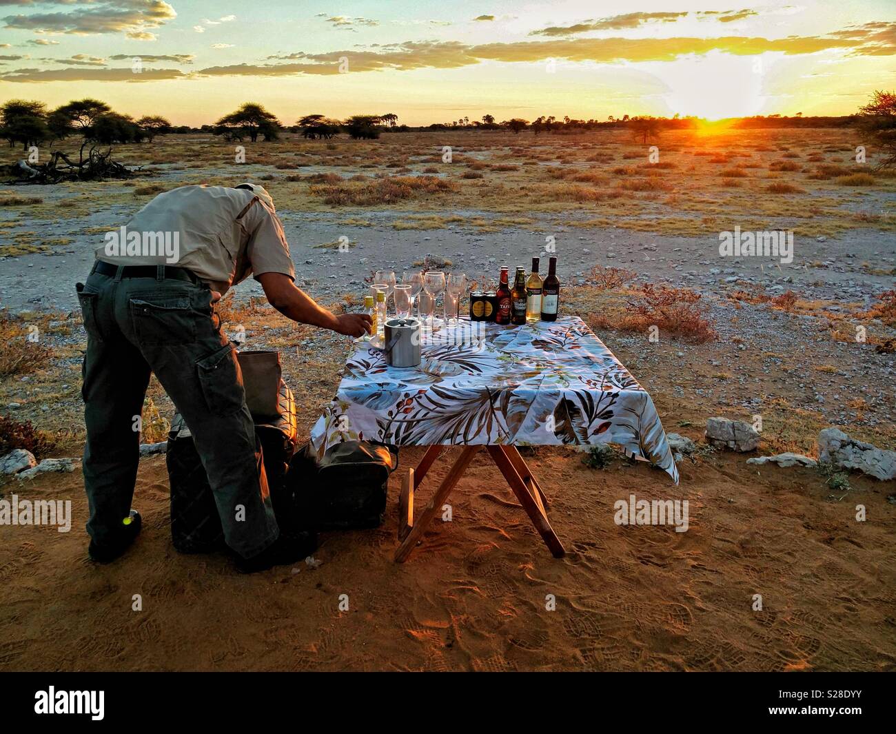 Safari guide setting up sundown drinks in Etosha, Namibia. Stock Photo