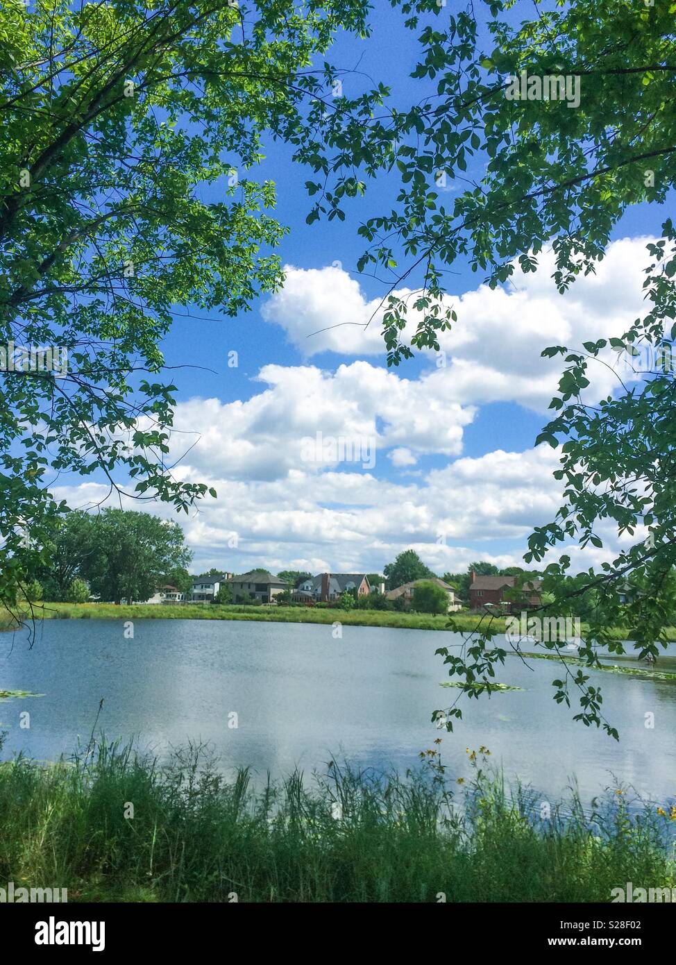 This is a beautiful place to sit and relax on a warm, sunny, summer day. Today there was a slight breeze and the sky was so blue it reflected on the water. Stock Photo