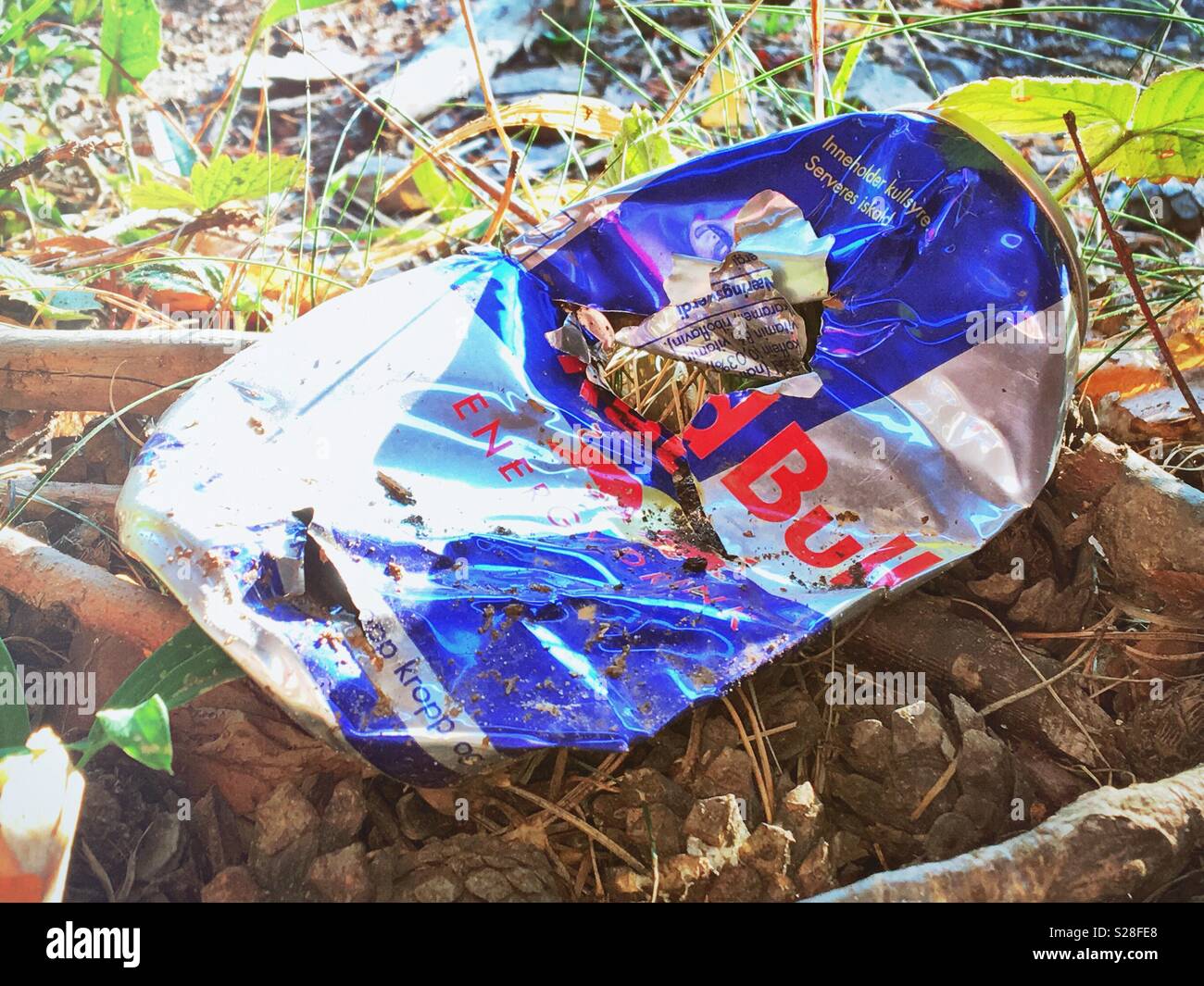 Discarded litter in nature, Red Bull aluminum can. Stock Photo