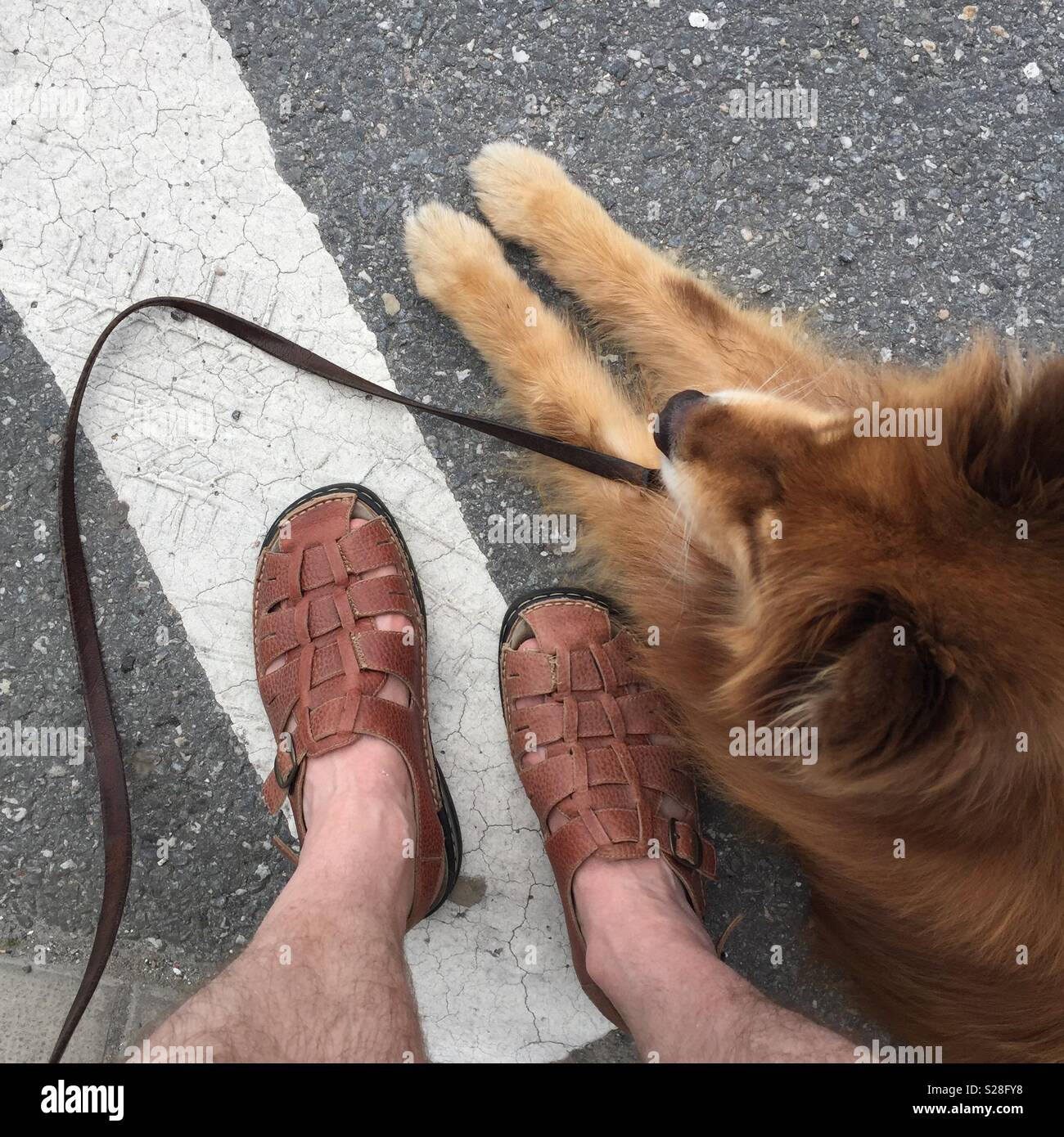Resting feets - Smartphone Captured Stock Image