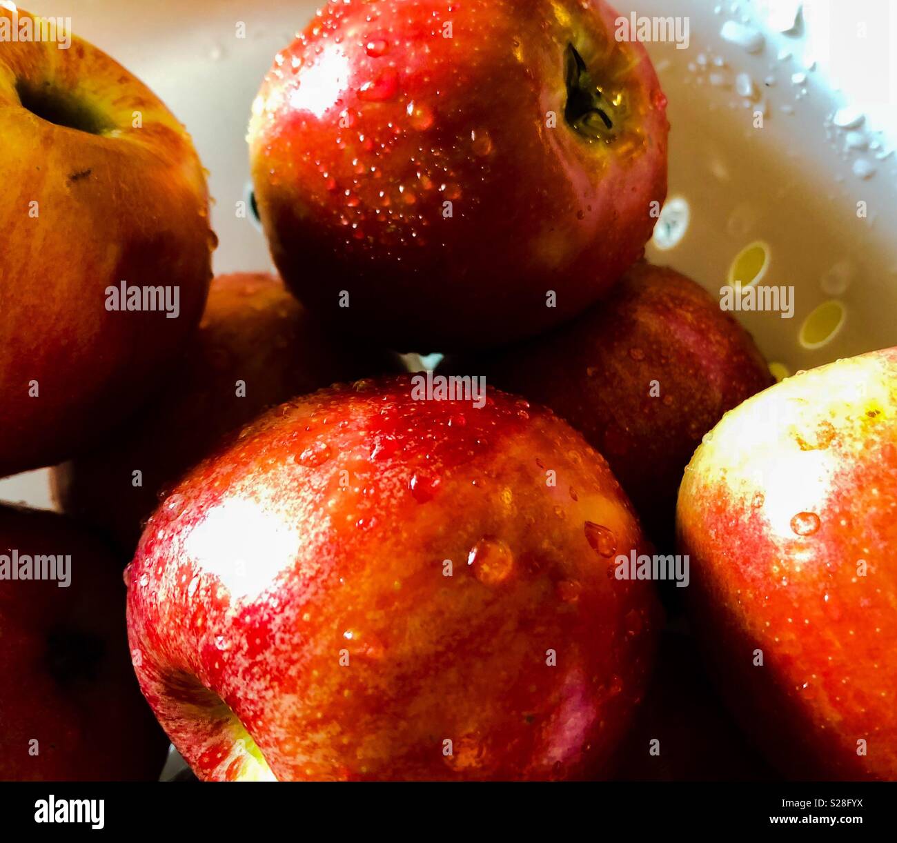 Washed Red Apples Stock Photo