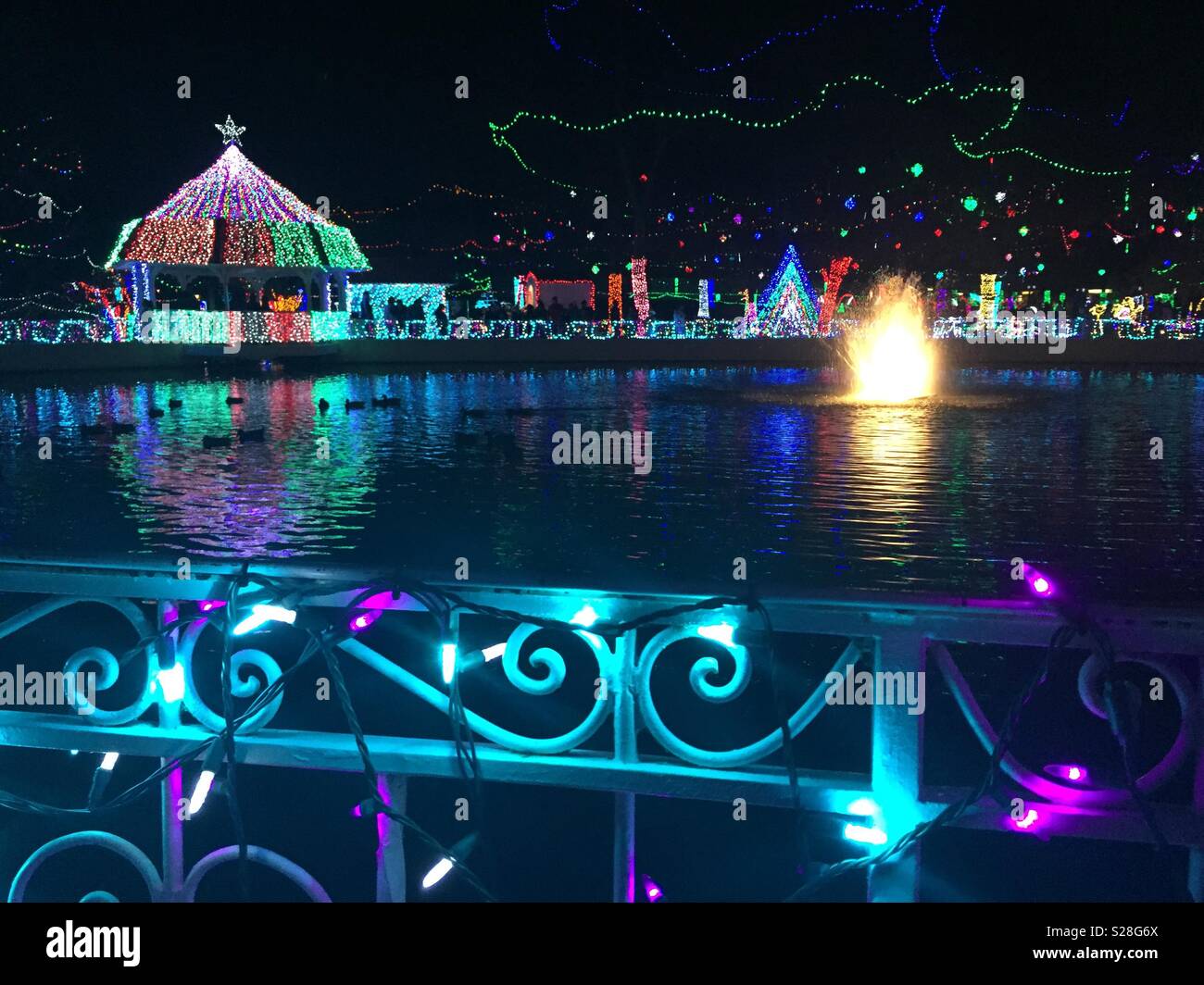 Christmas lights duck pond Stock Photo Alamy
