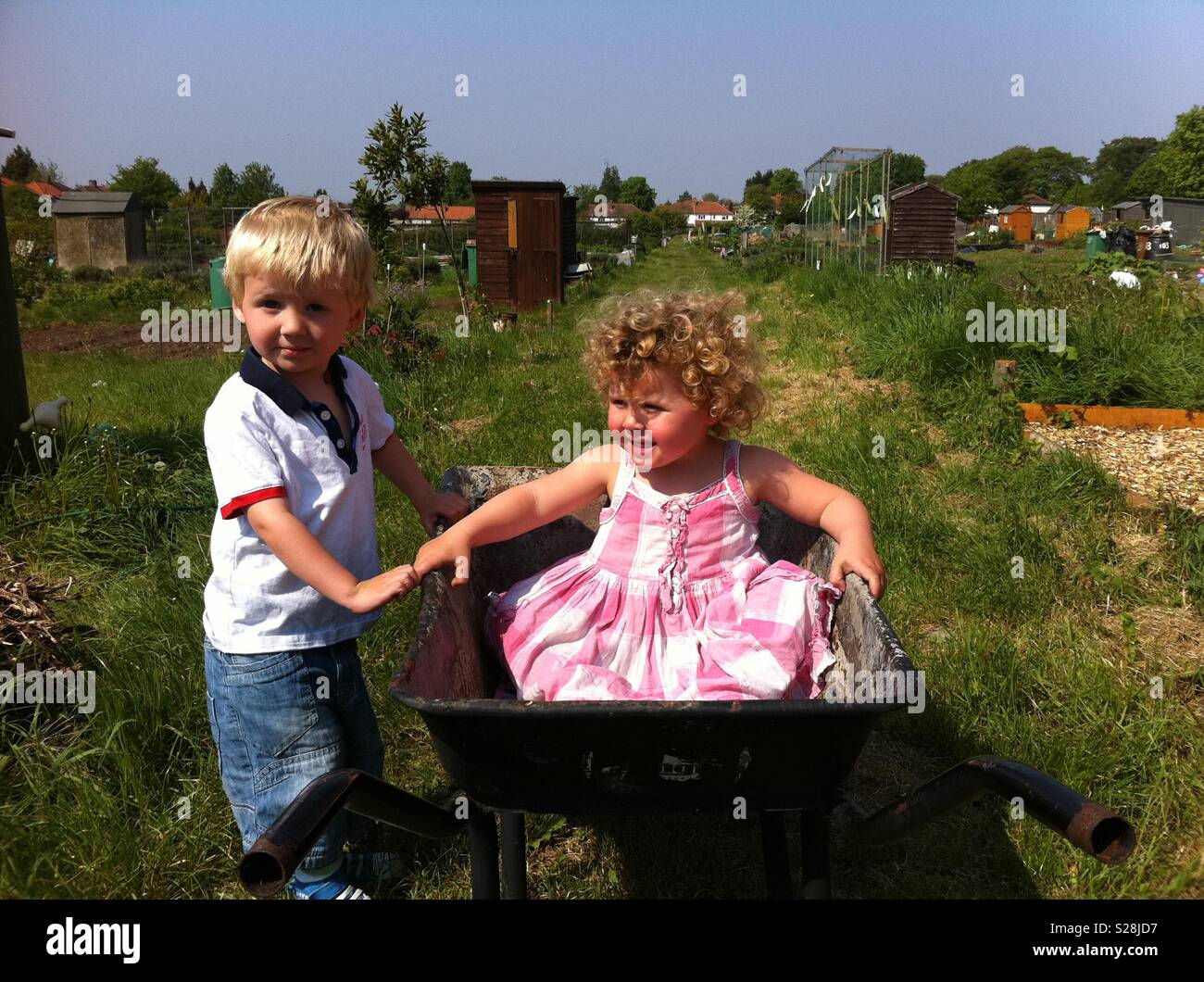 Boy & girl sitting in a wheelbarrow on an allotment Stock Photo - Alamy