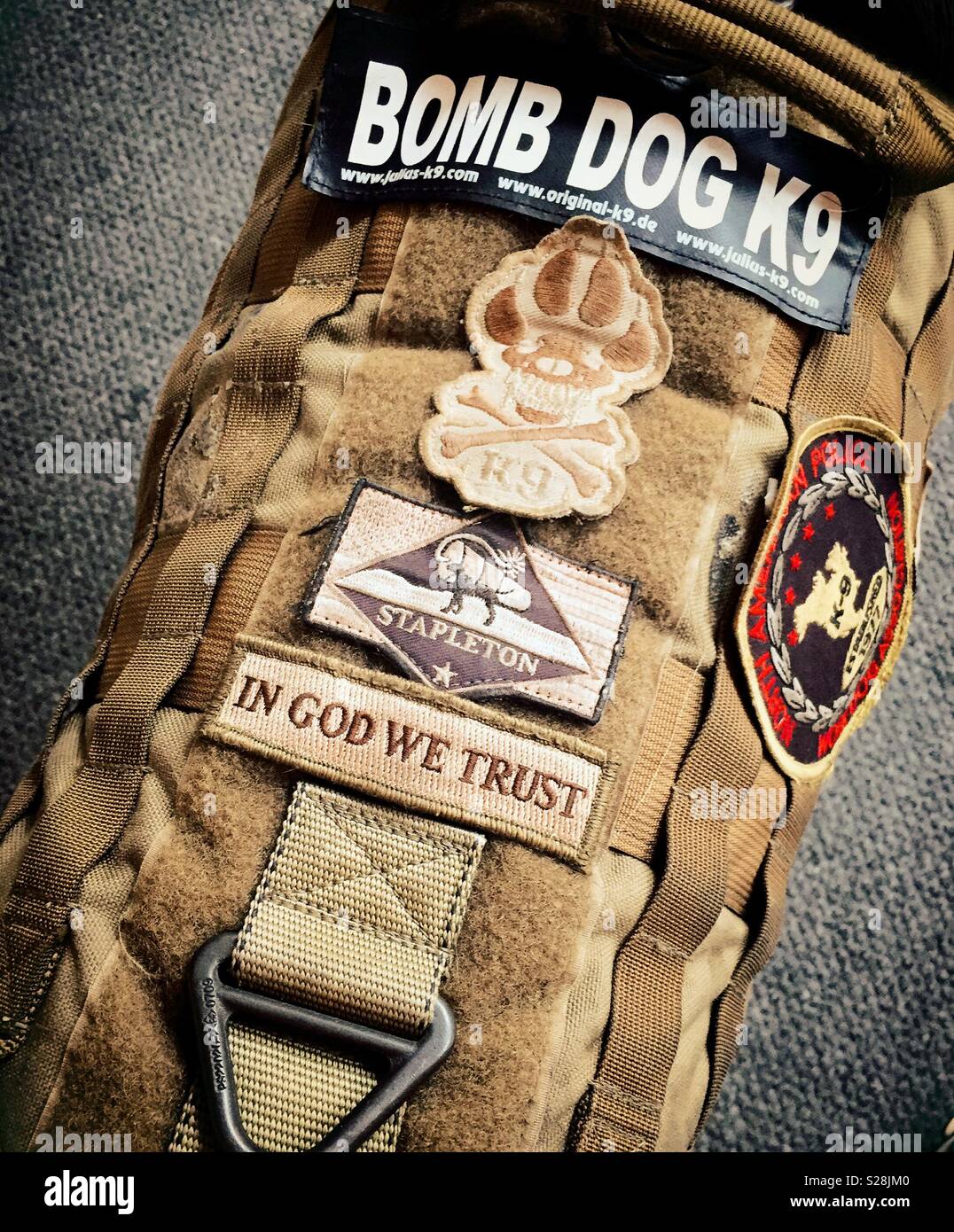 A bomb dog vest with many patches, New York City, USA Stock Photo