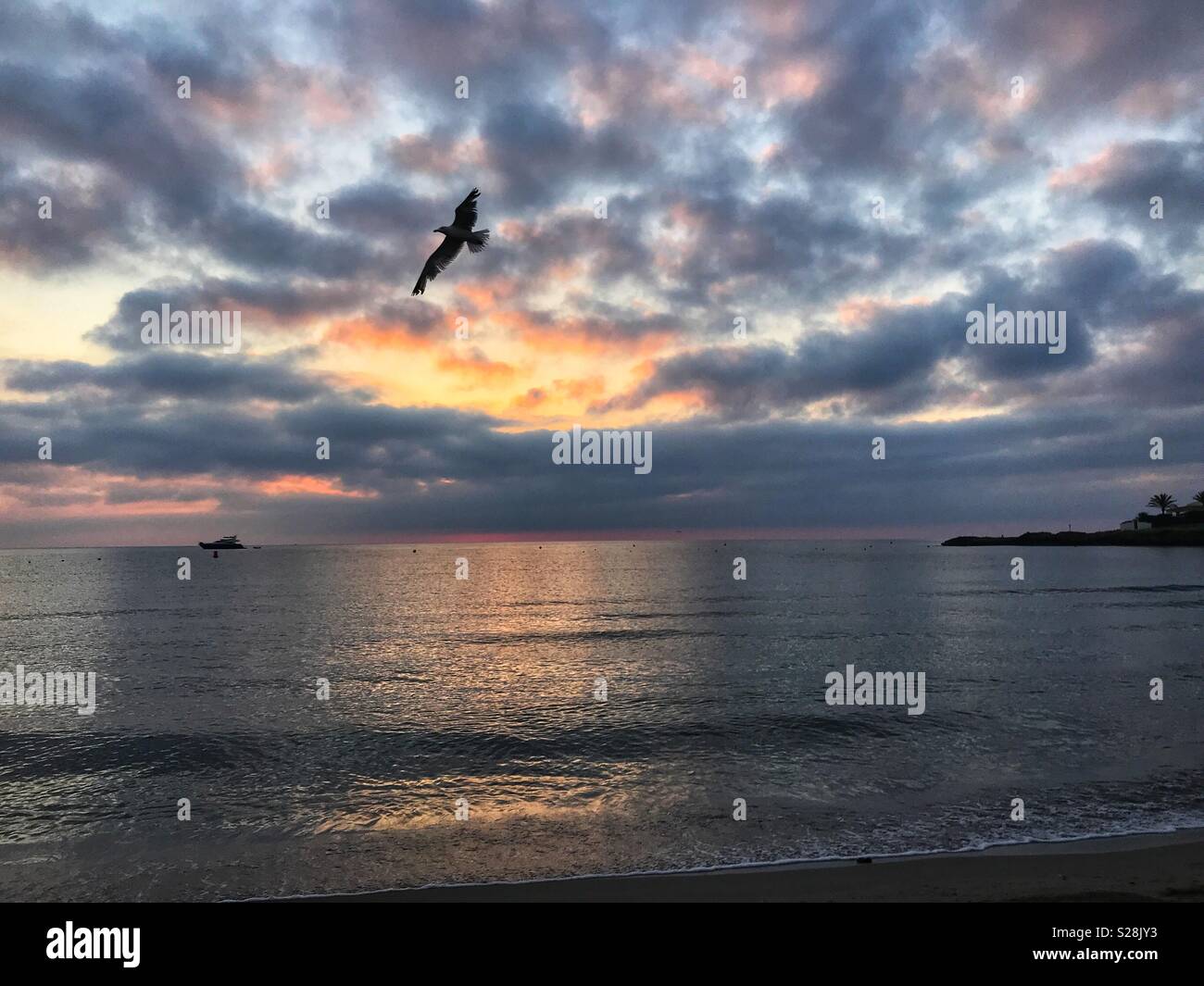 Sunrise over sea with seagulls in flight Stock Photo