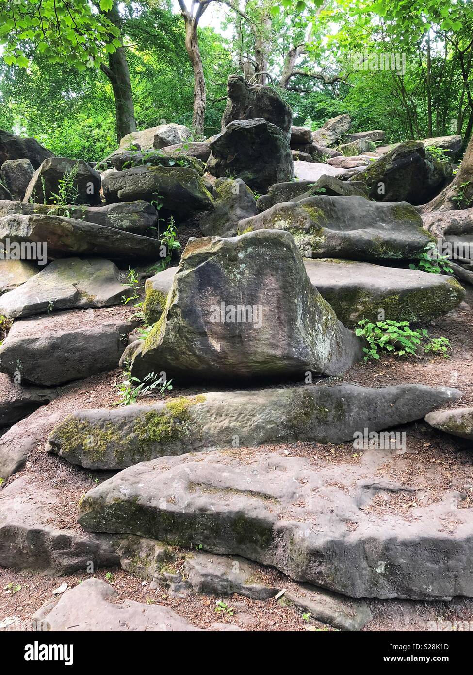 Rocks of various shapes and size in front of various trees in