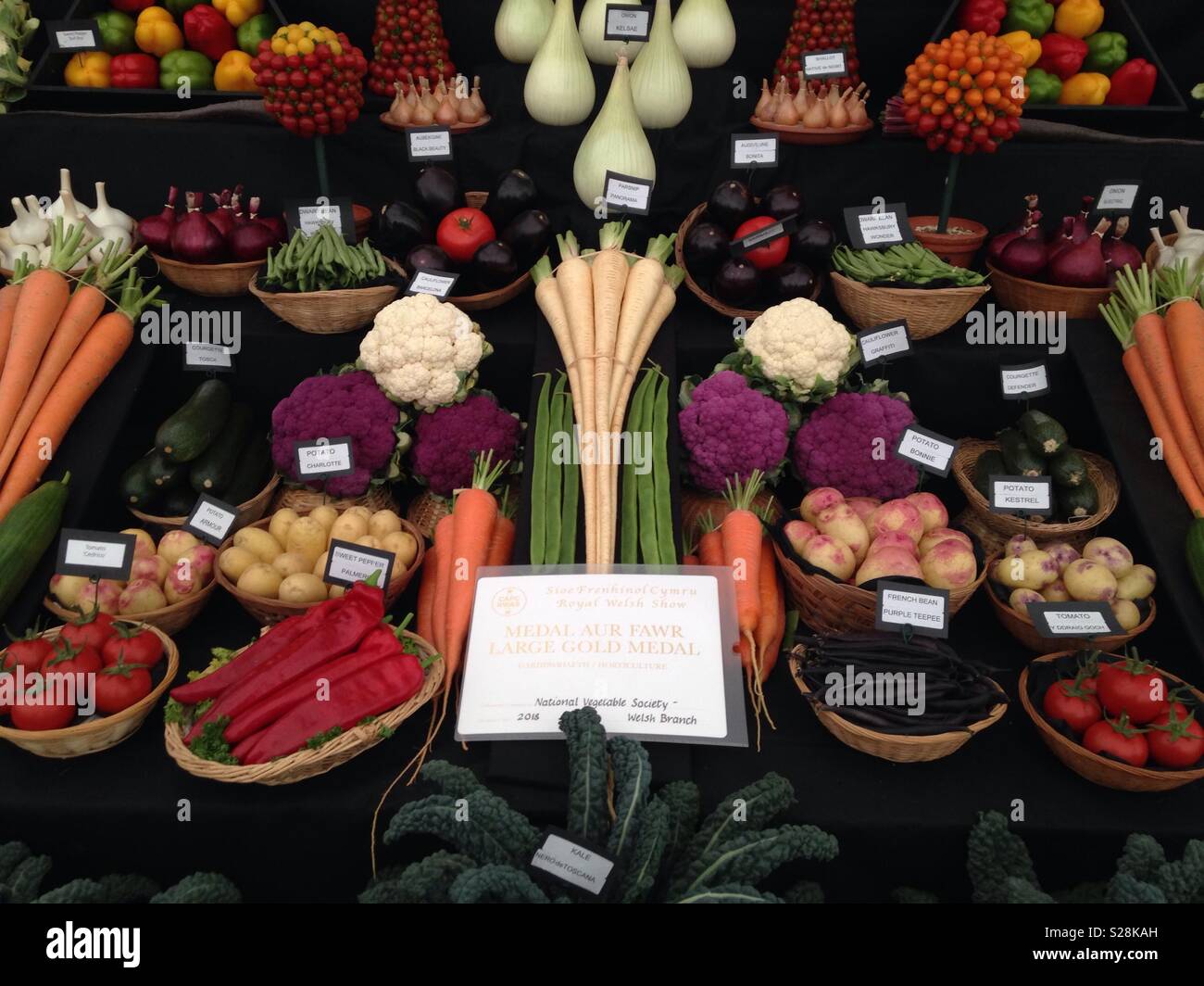Prize Winning Vegetables , Royal Welsh Show Stock Photo