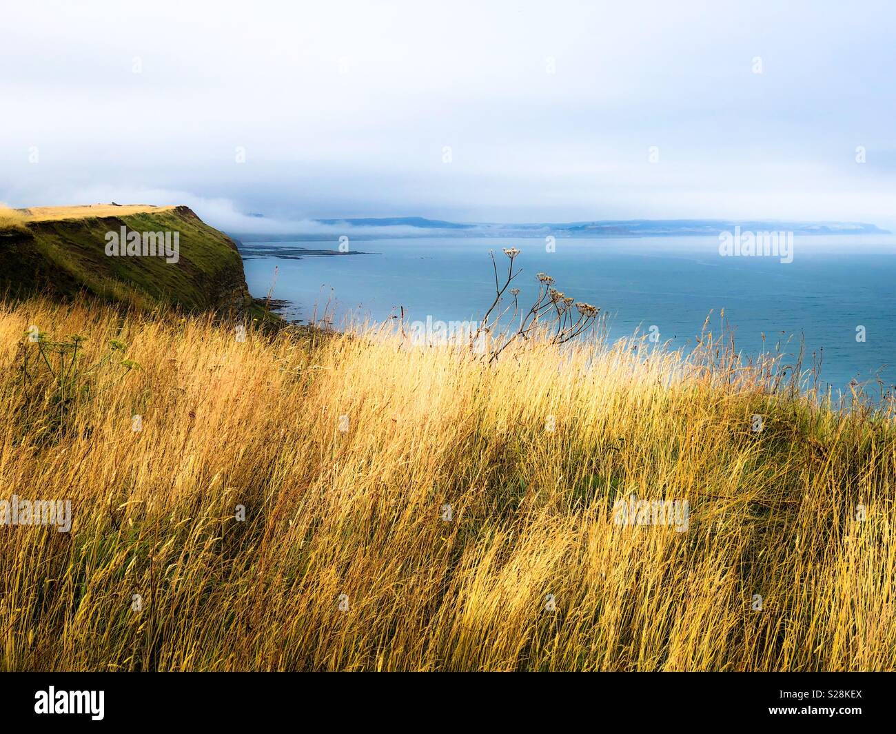View across dry summer grass to the sea - Smartphone Captured Stock Image
