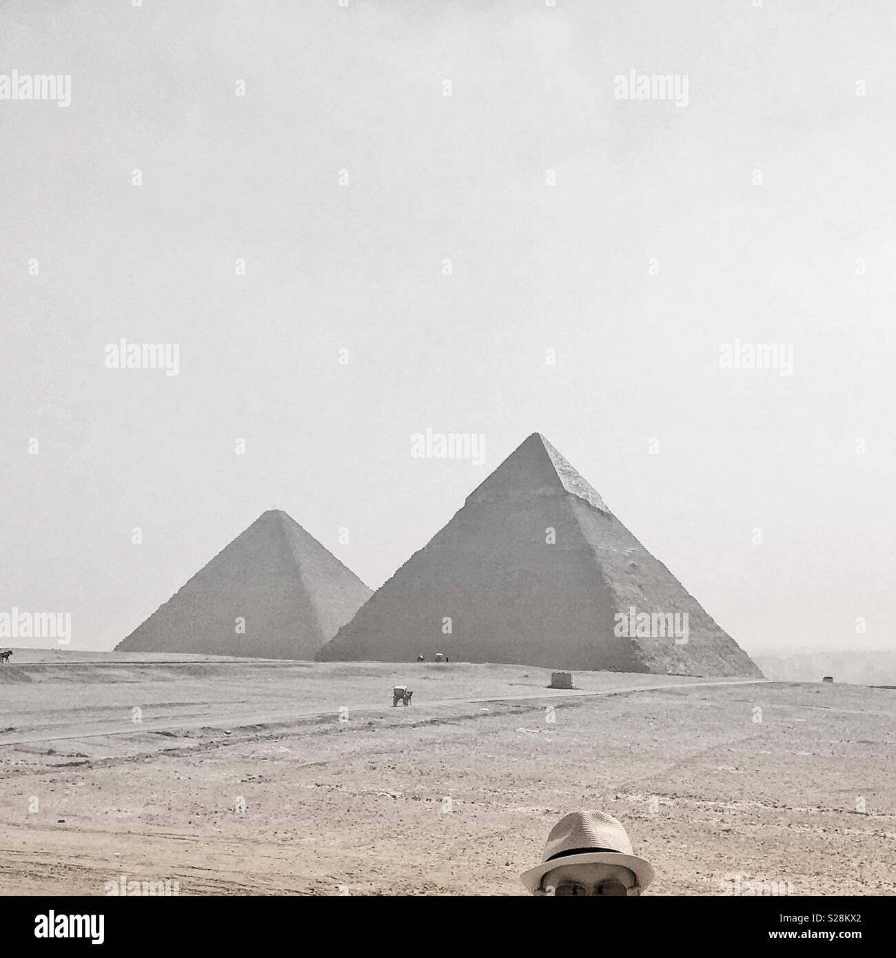 Top of head at Pyramids Stock Photo