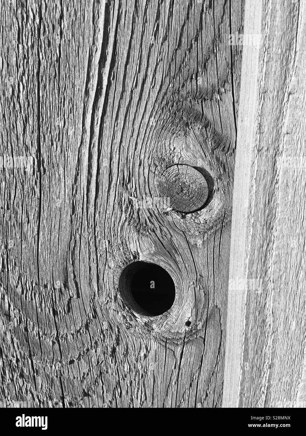 Knot and a hole left by a knot in some wood with wood grain and texture