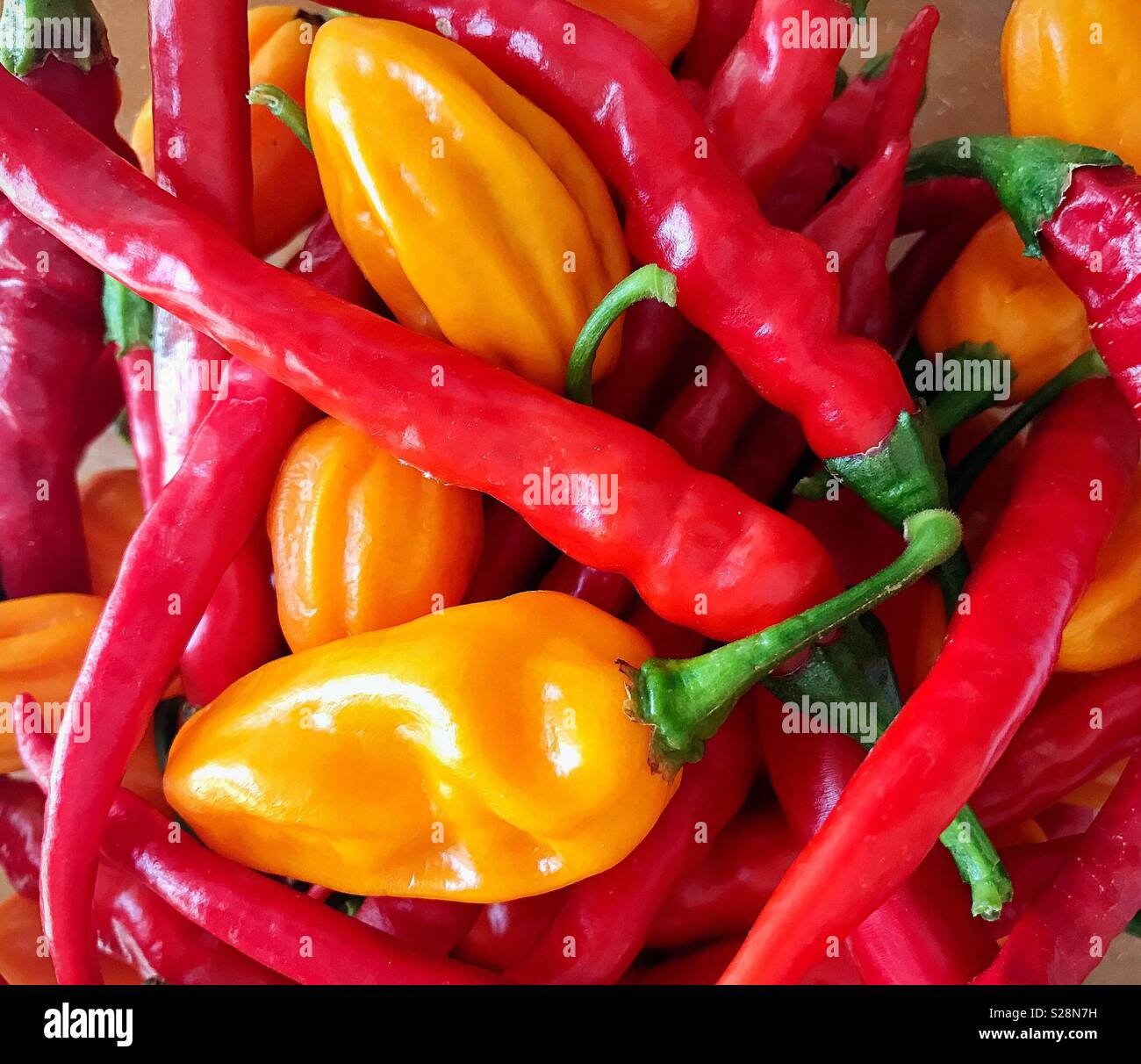 Yellow chillies hi-res stock photography and images - Alamy