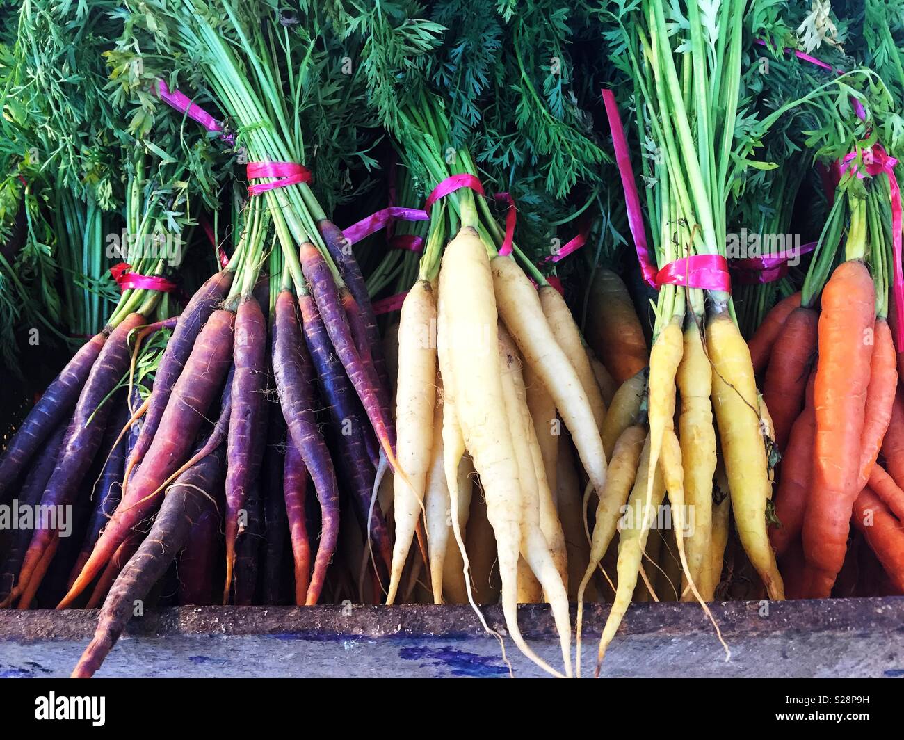 Bunches of different coloured heritage carrots on a market stall - Smartphone Captured Stock Image
