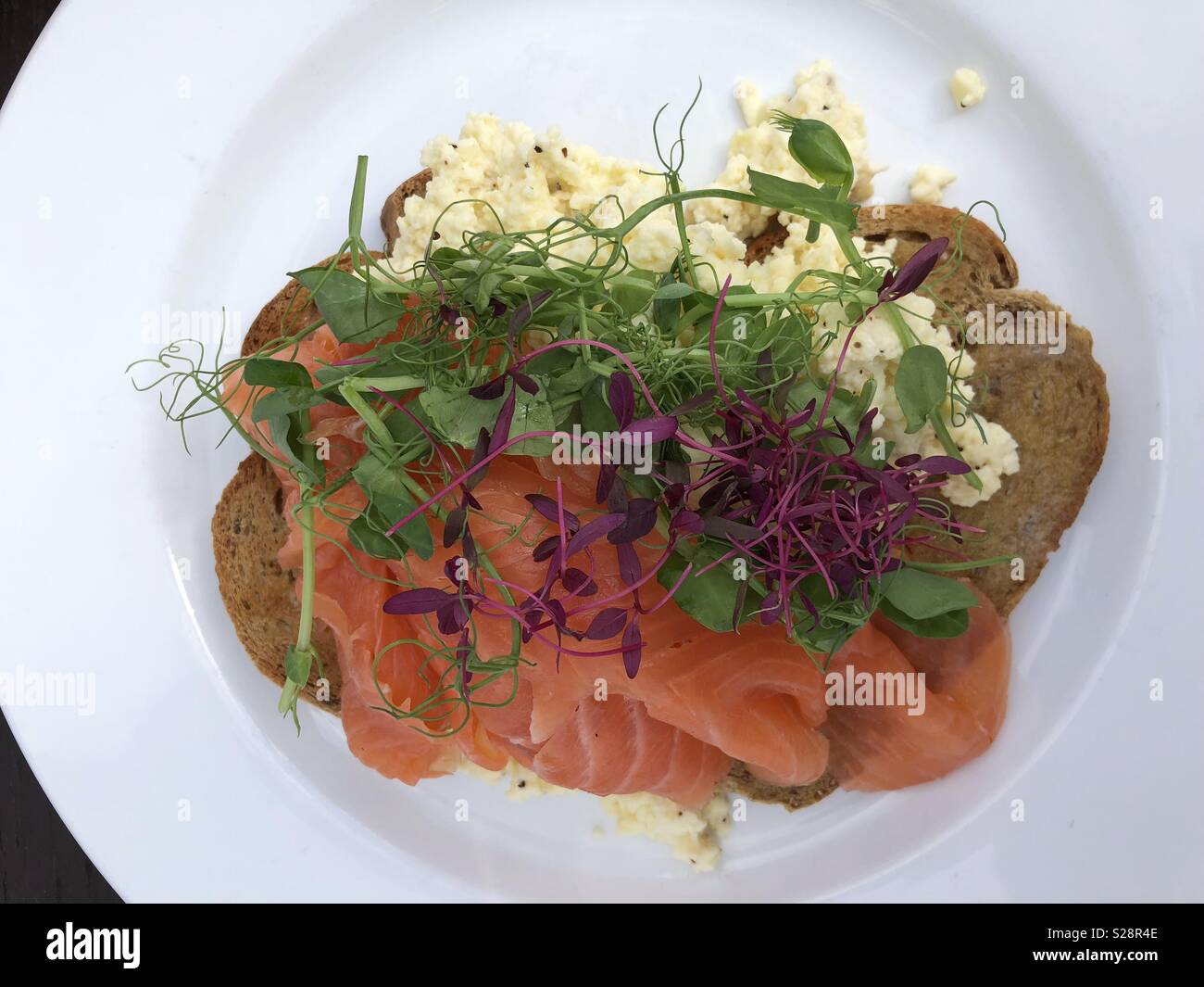 Scrambled egg and smoked salmon and brown rye bread - Smartphone Captured Stock Image