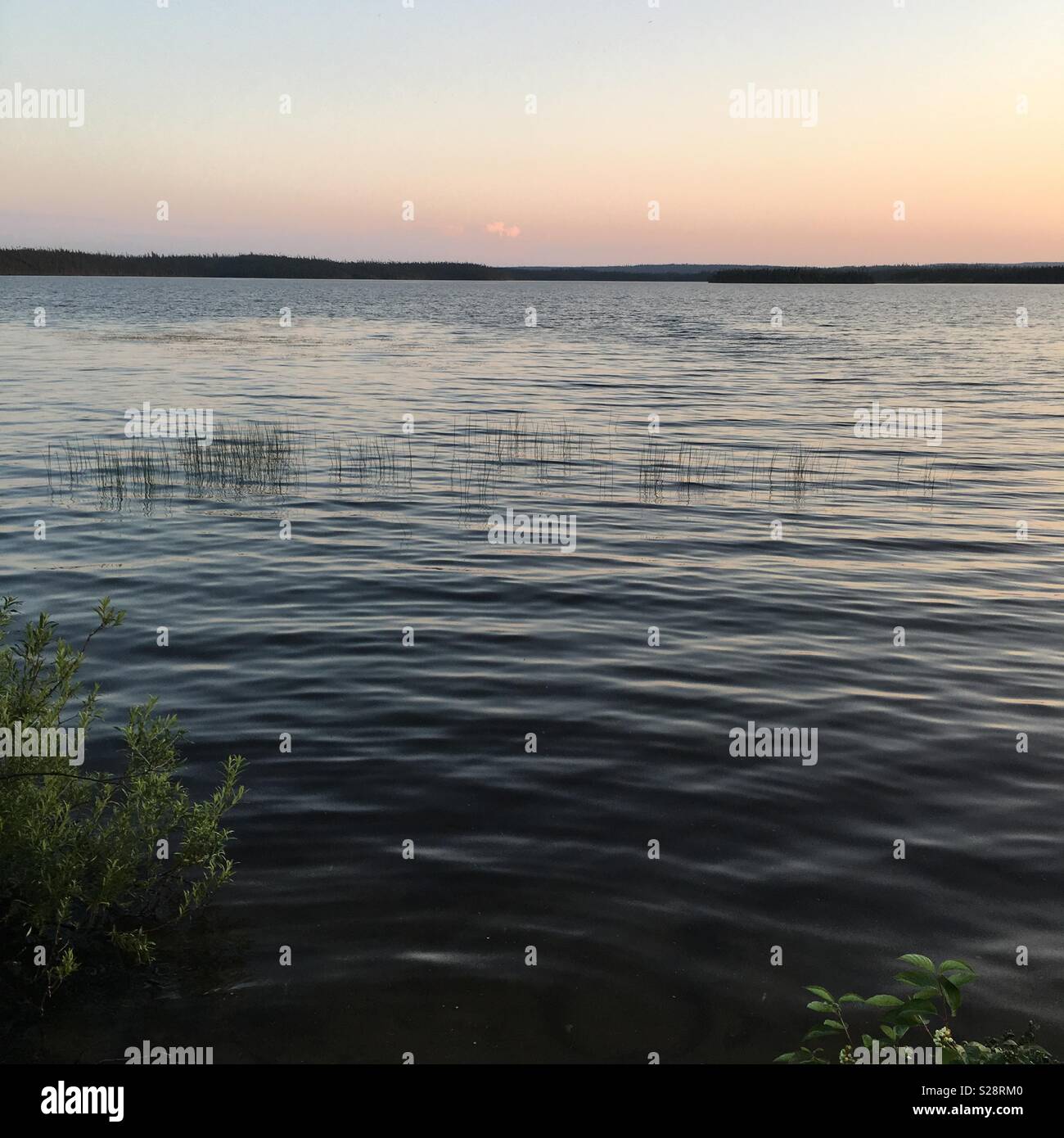 Tranquil lake - Smartphone Captured Stock Image
