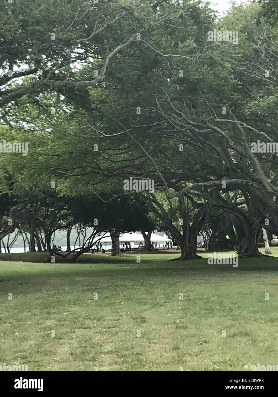 Campground Kualoa (Windward Oahu) Stock Photo