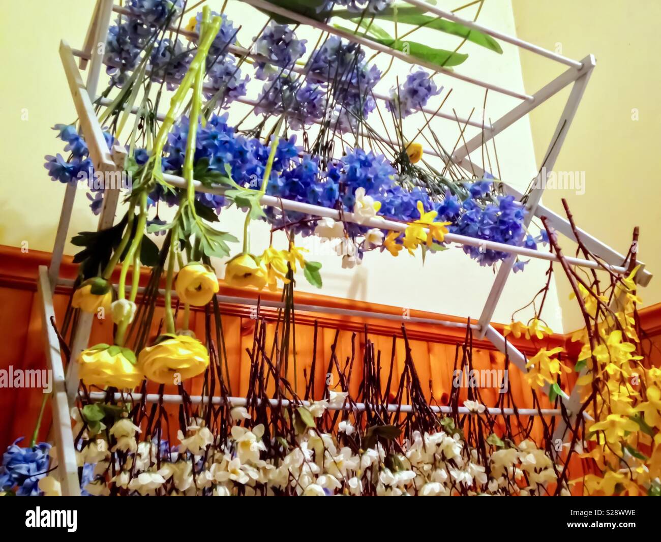Blue, yellow, and white silk flowers- freshly washed in soapy water- hung to dry on wooden rack - Smartphone Captured Stock Image