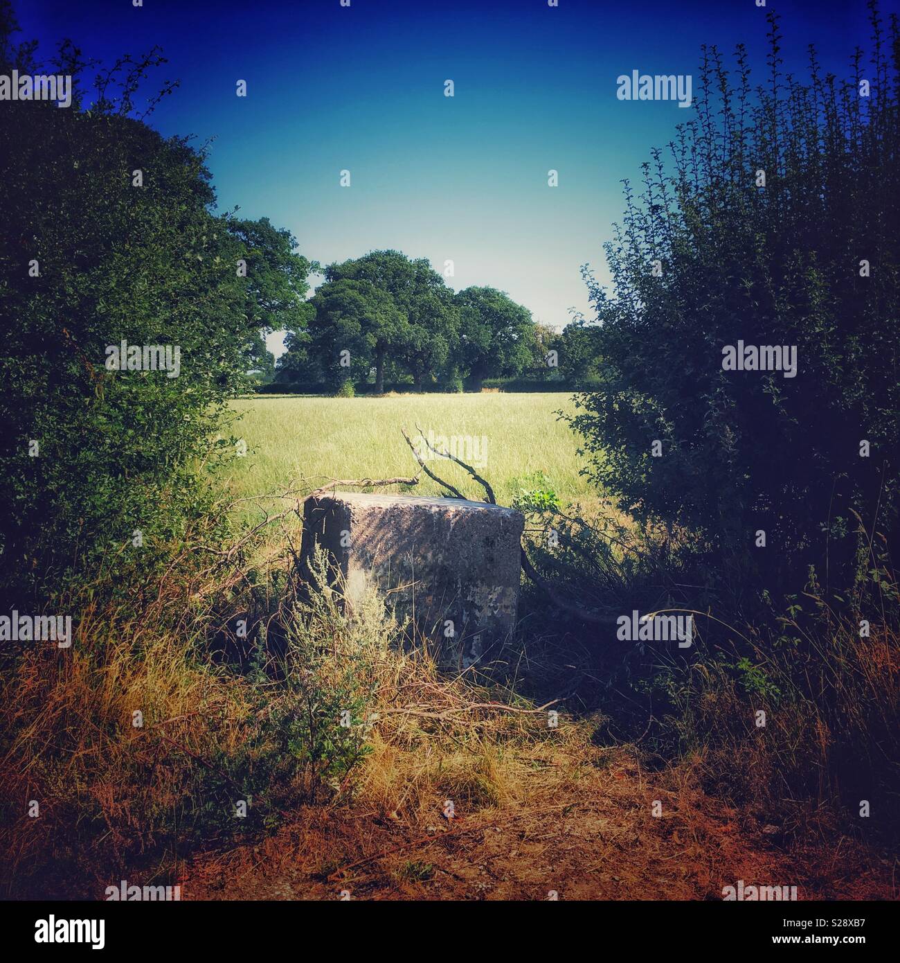 Blocked entrance to farm land in Cheshire Uk - Smartphone Captured Stock Image