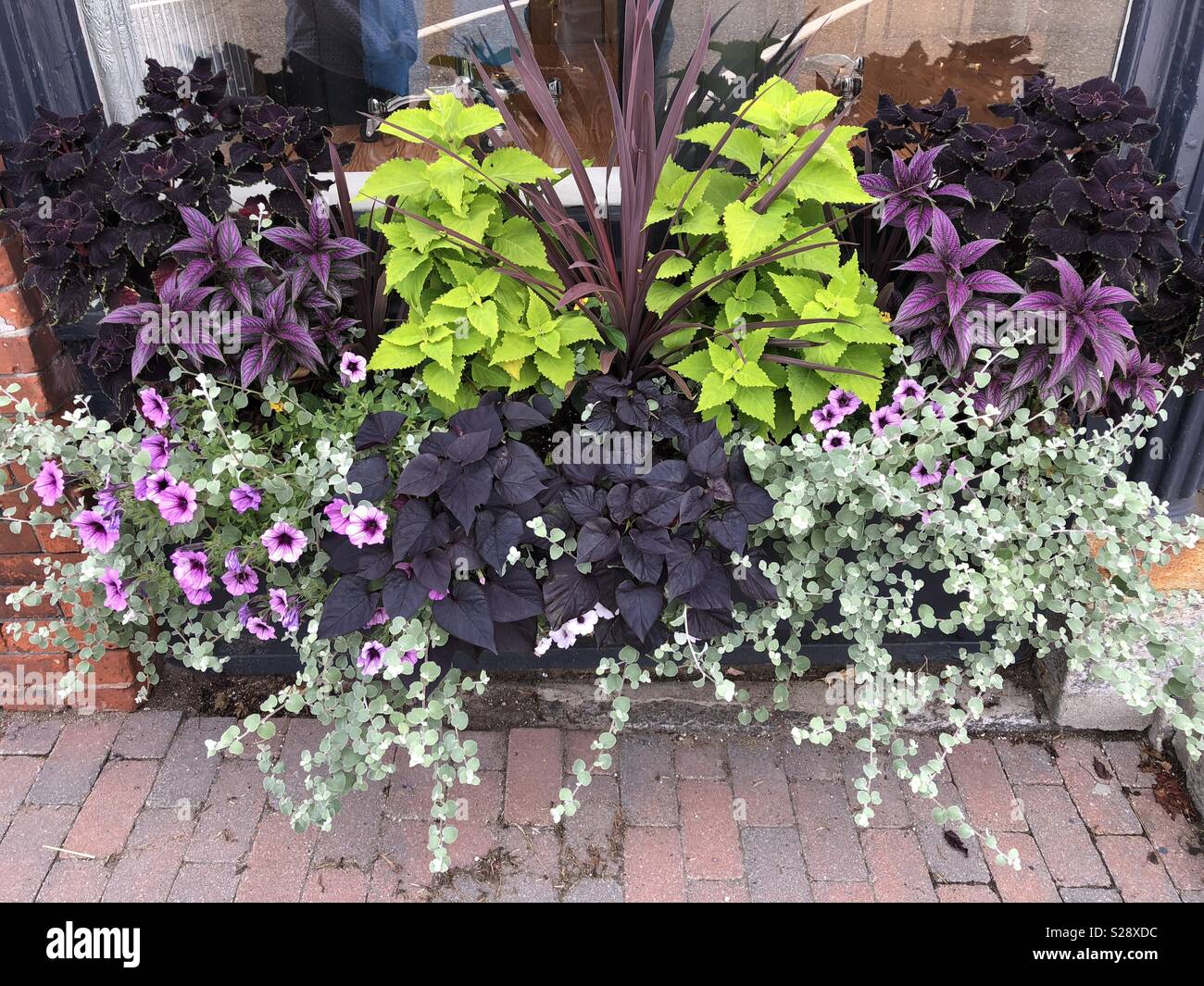 A symmetric flower arrangement is beatiful Stock Photo