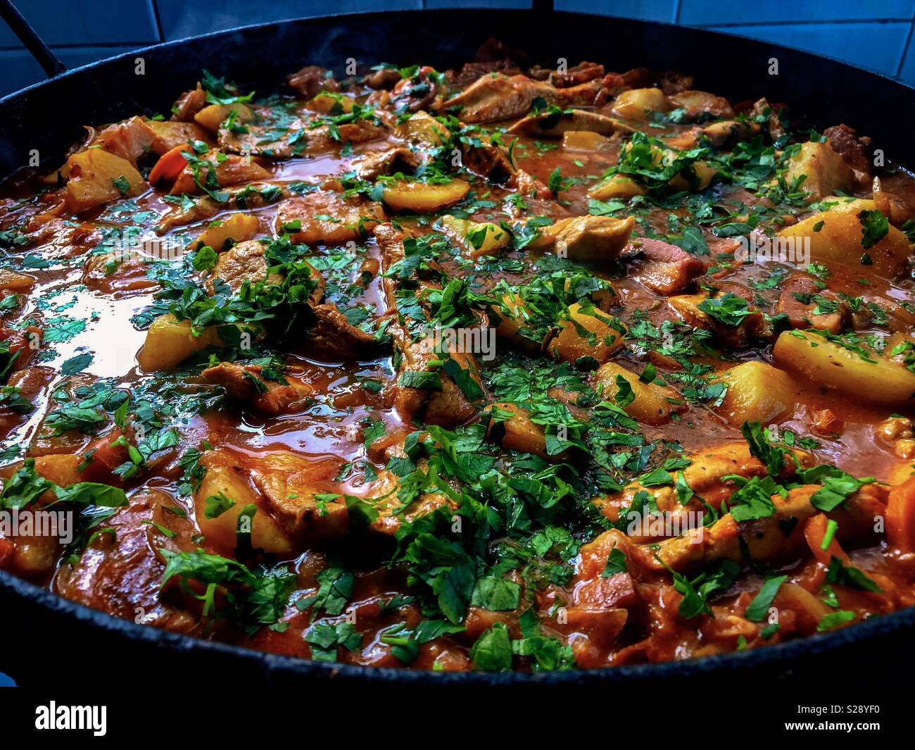 Chicken with tomato sauce - Smartphone Captured Stock Image