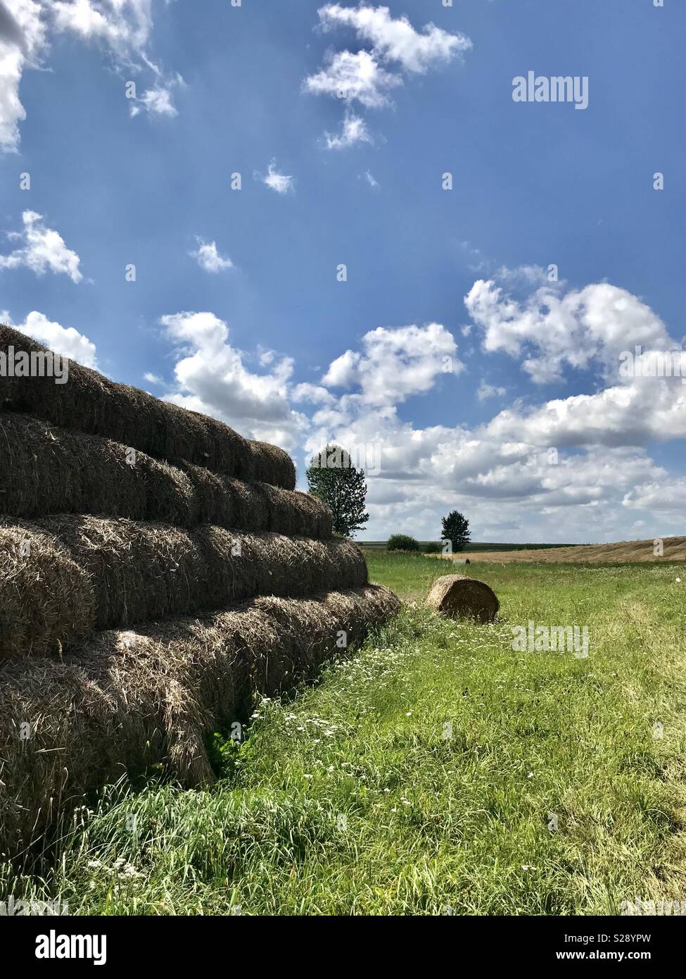 Summer Stock Photo