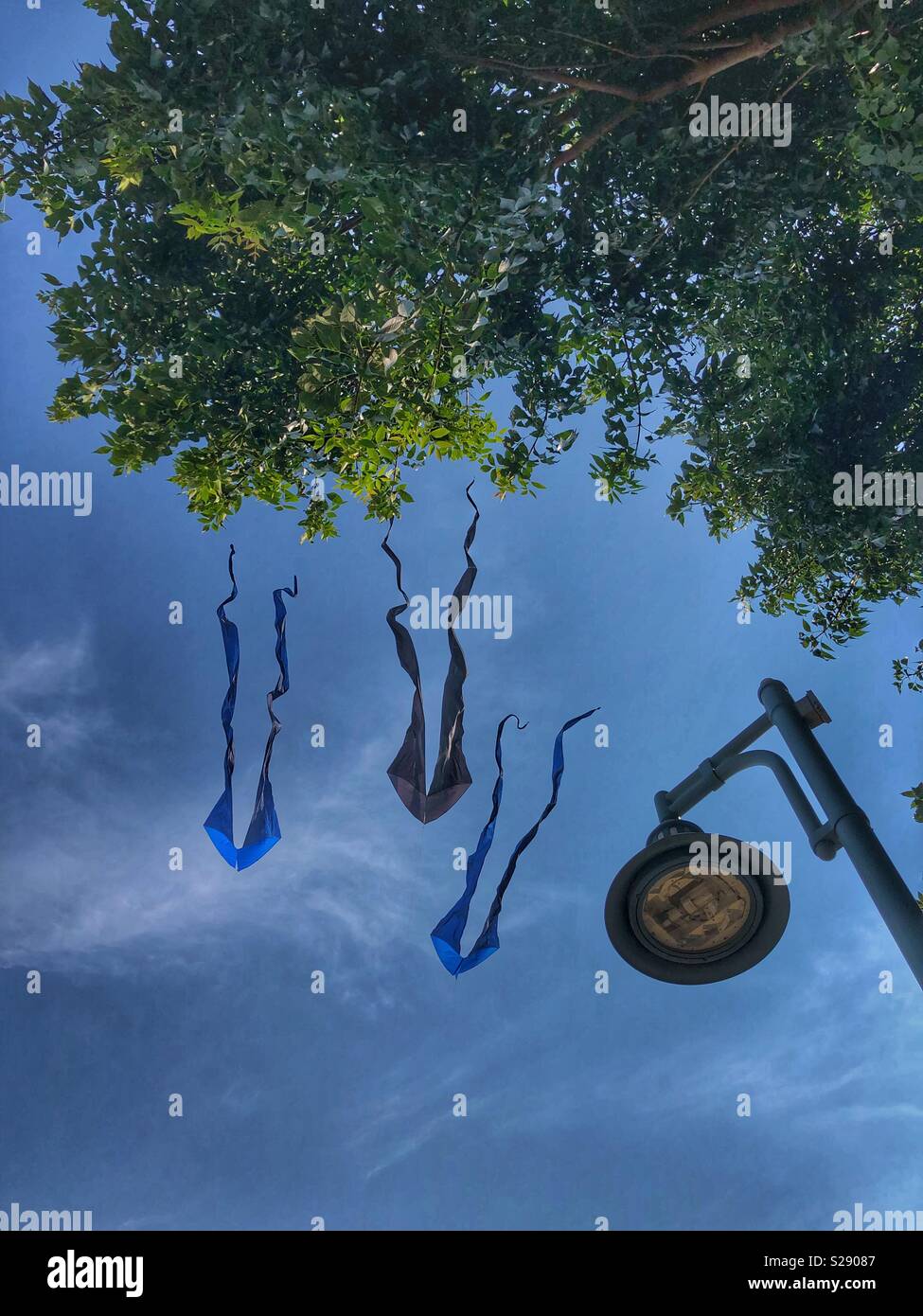 Kites flying in the sky above a lamppost. - Smartphone Captured Stock Image Kites flying in the sky above a lamppost. - Smartphone Captured Stock Image