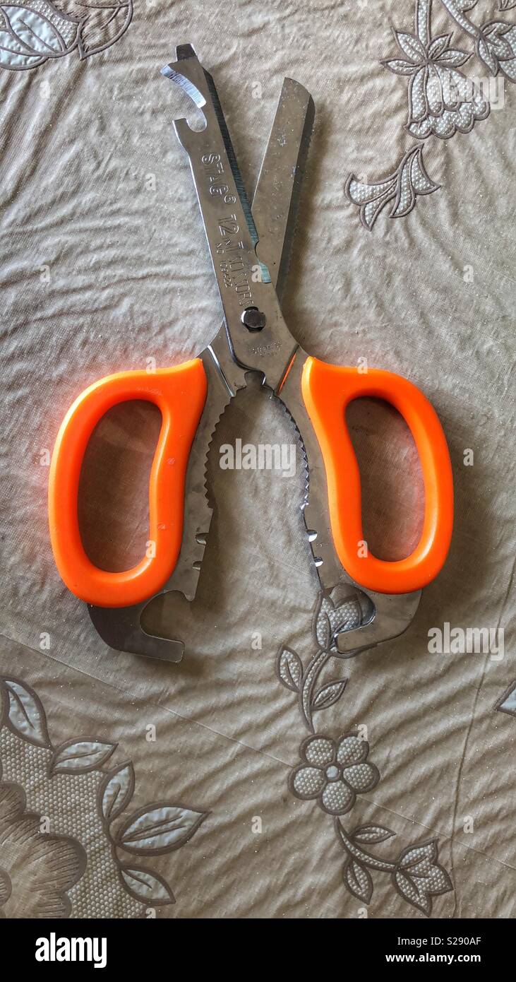 Multi purpose scissors Stock Photo - Alamy
