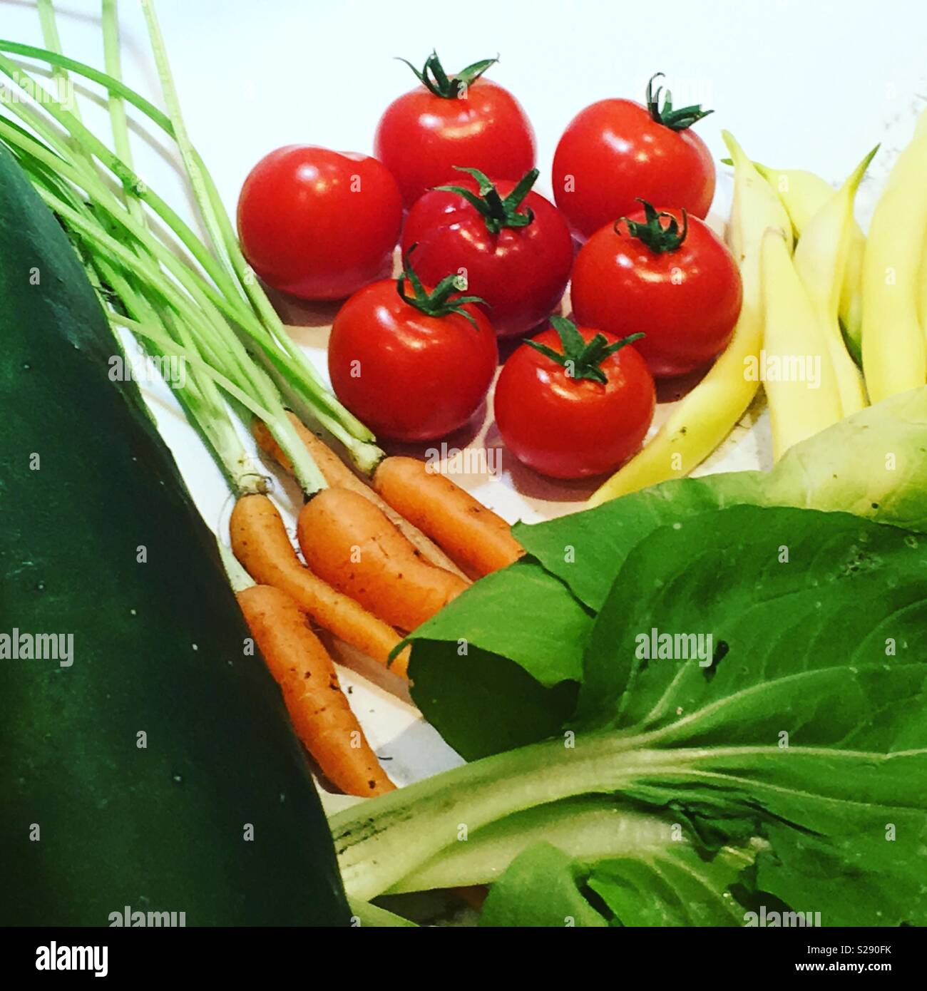 Fresh veggies from the garden Stock Photo