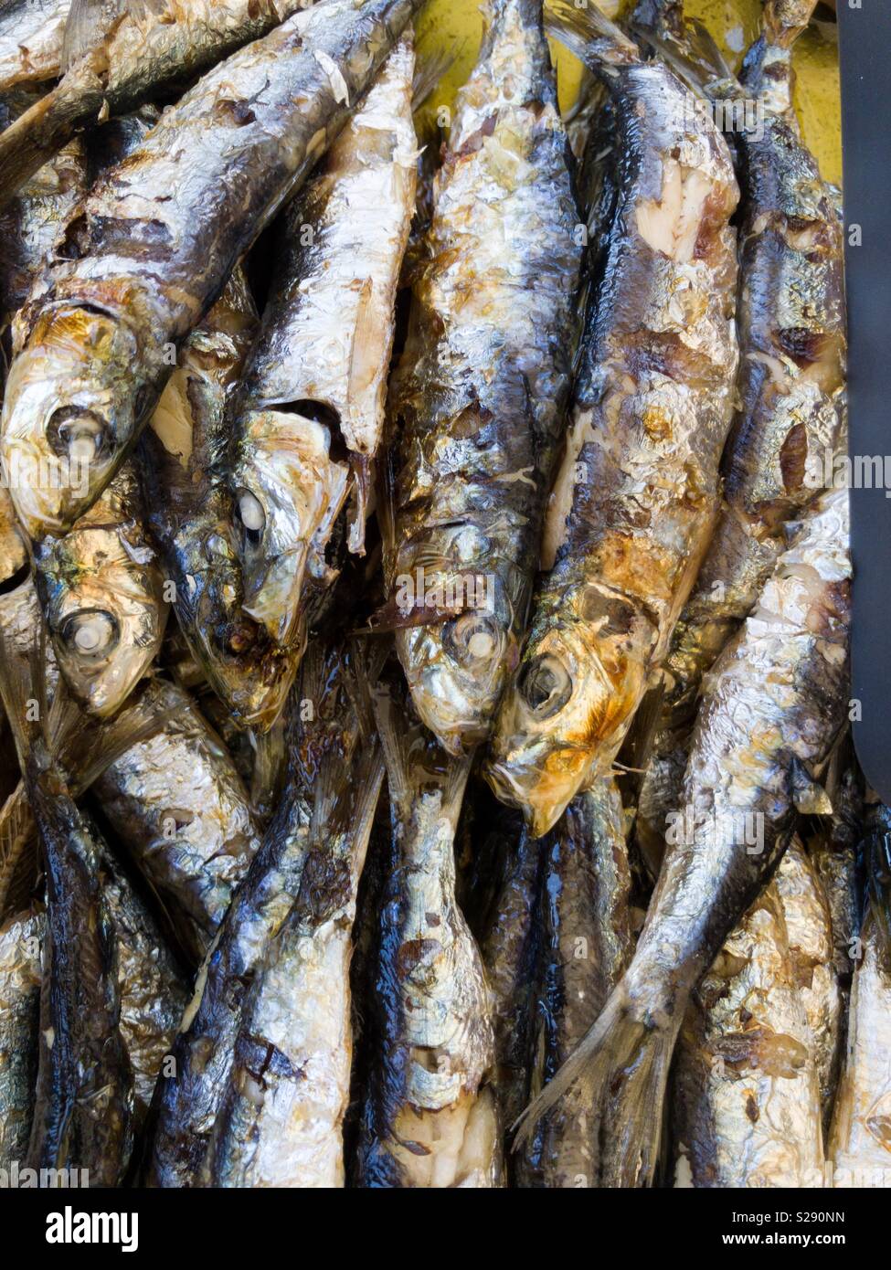 Grilled sardines with olive oil Stock Photo Alamy
