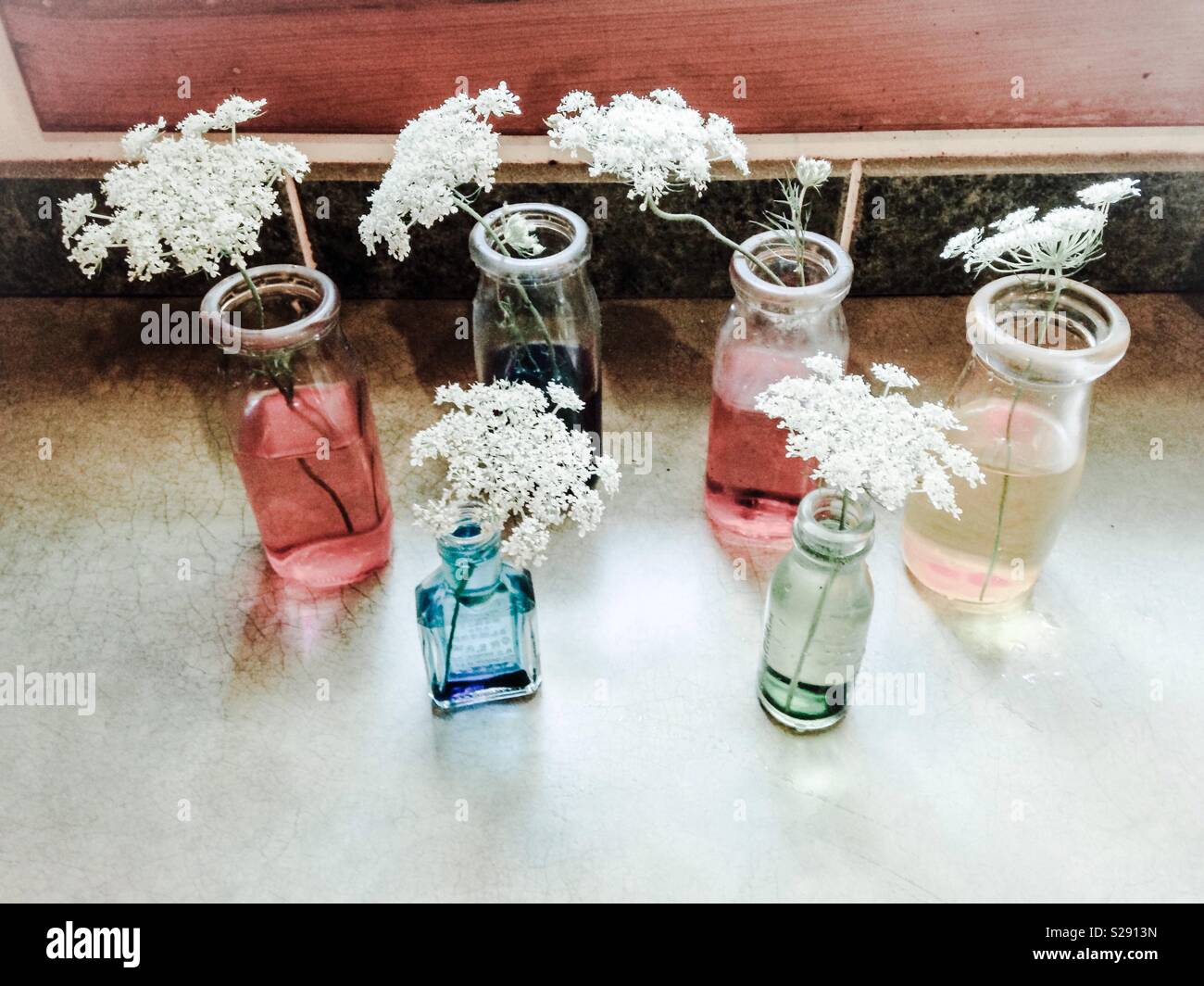 Pale photo- science experiment beginning- 6 flowers placed in glass bottle with colored water - Smartphone Captured Stock Image