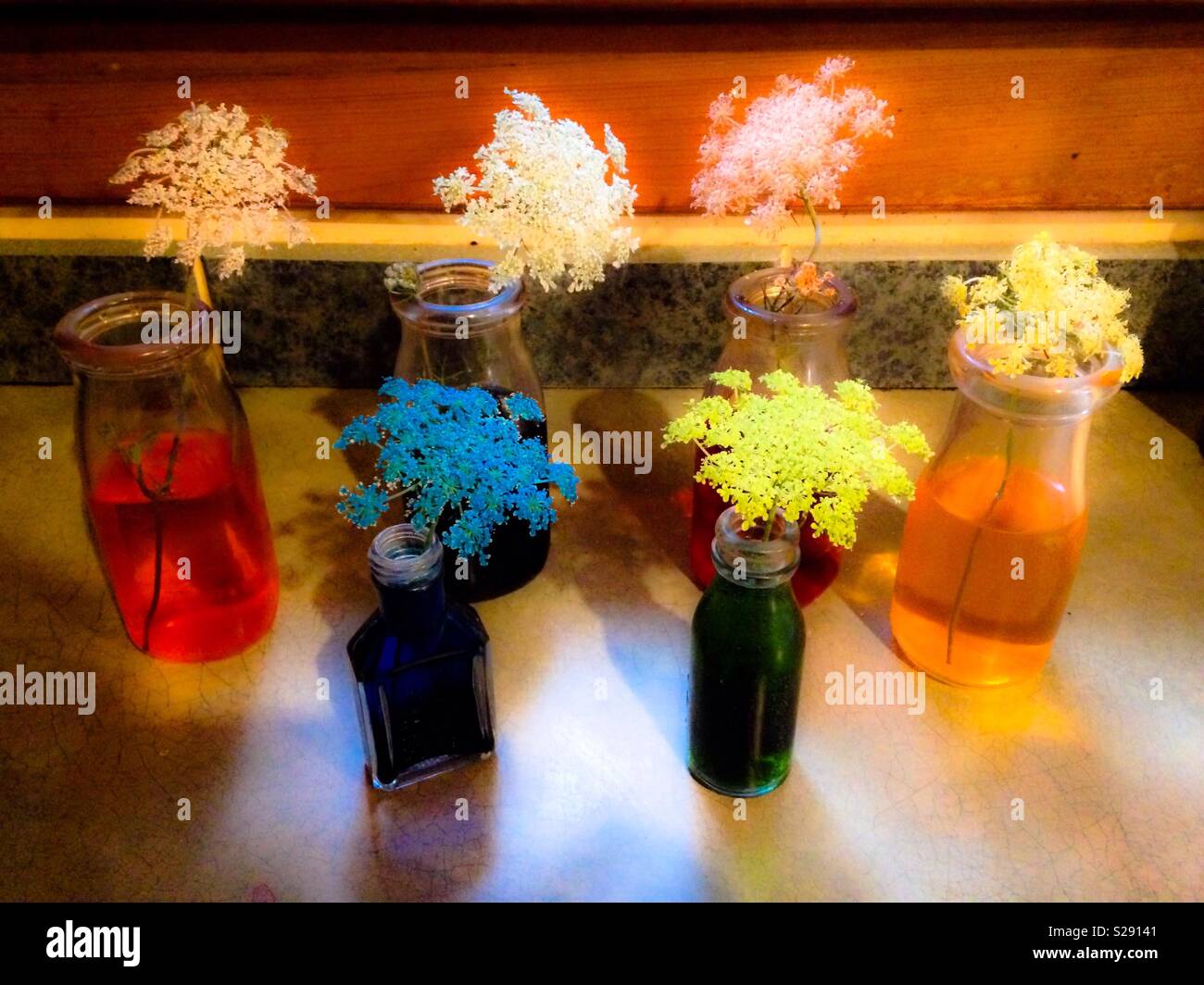 Ethereal photo science experiment after some flowers in glass bottles