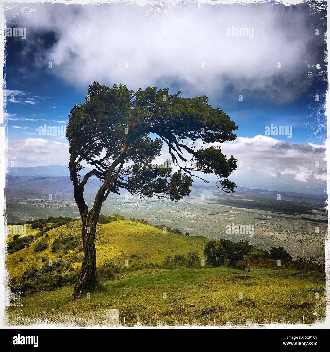 Ngong nationalpark hires stock photography and images Alamy