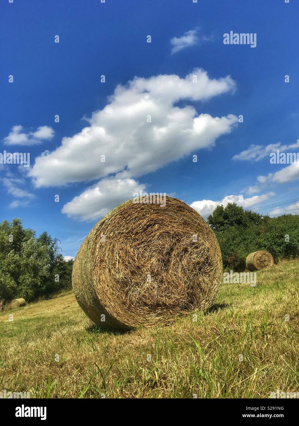 Straw bale in field hires stock photography and images Alamy