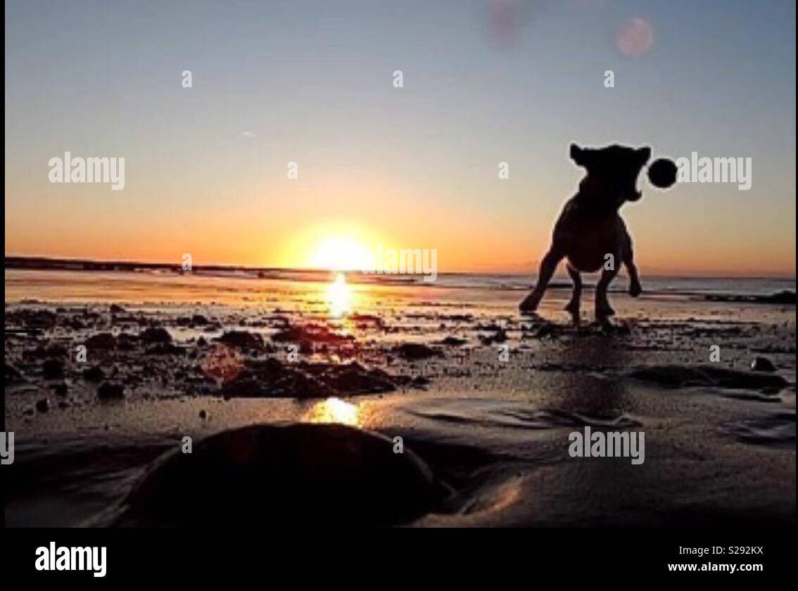 Catching the sunrise Stock Photo Alamy