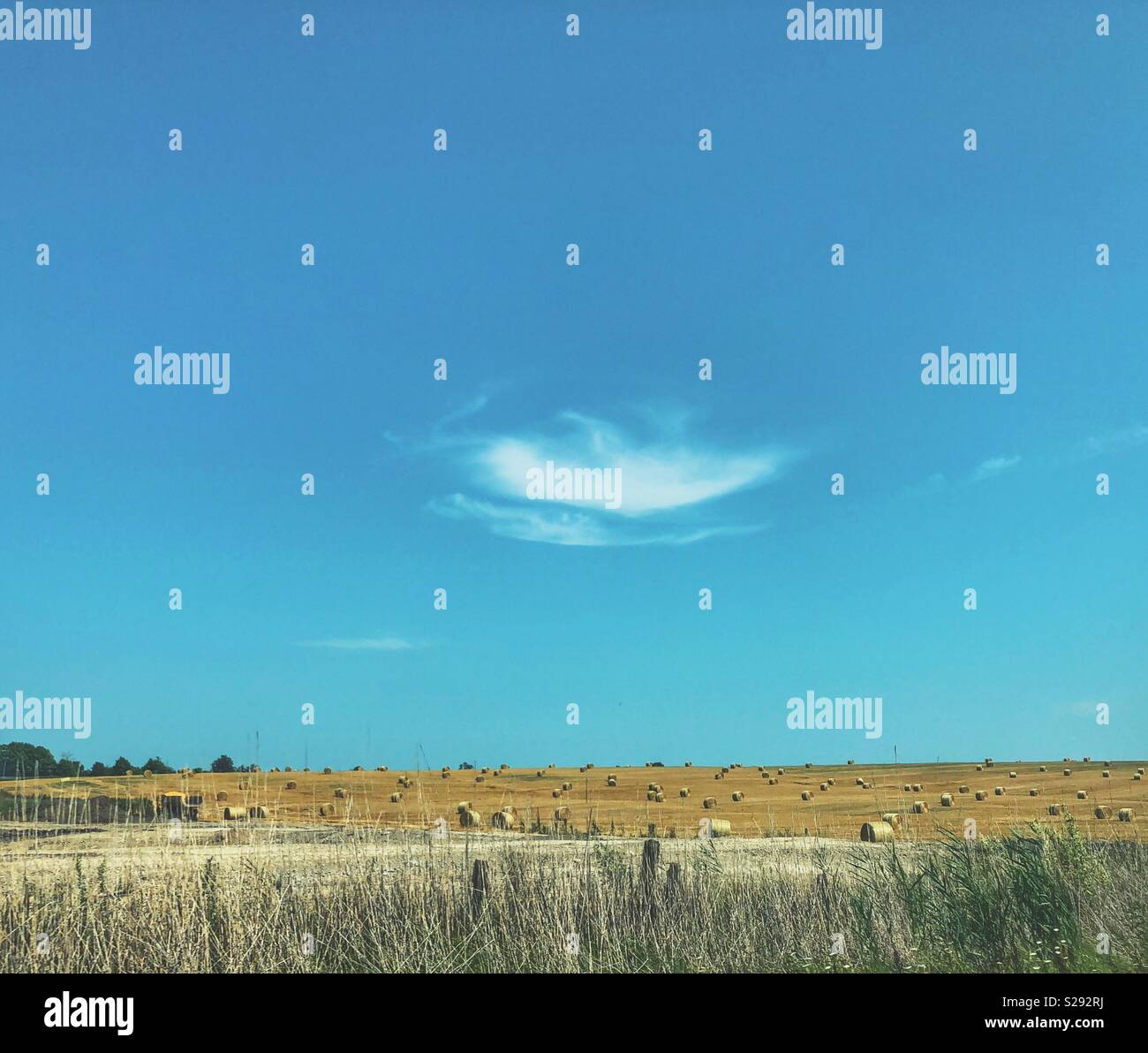 Field of hay bales and blue sky with one small white cloud scene Stock ...