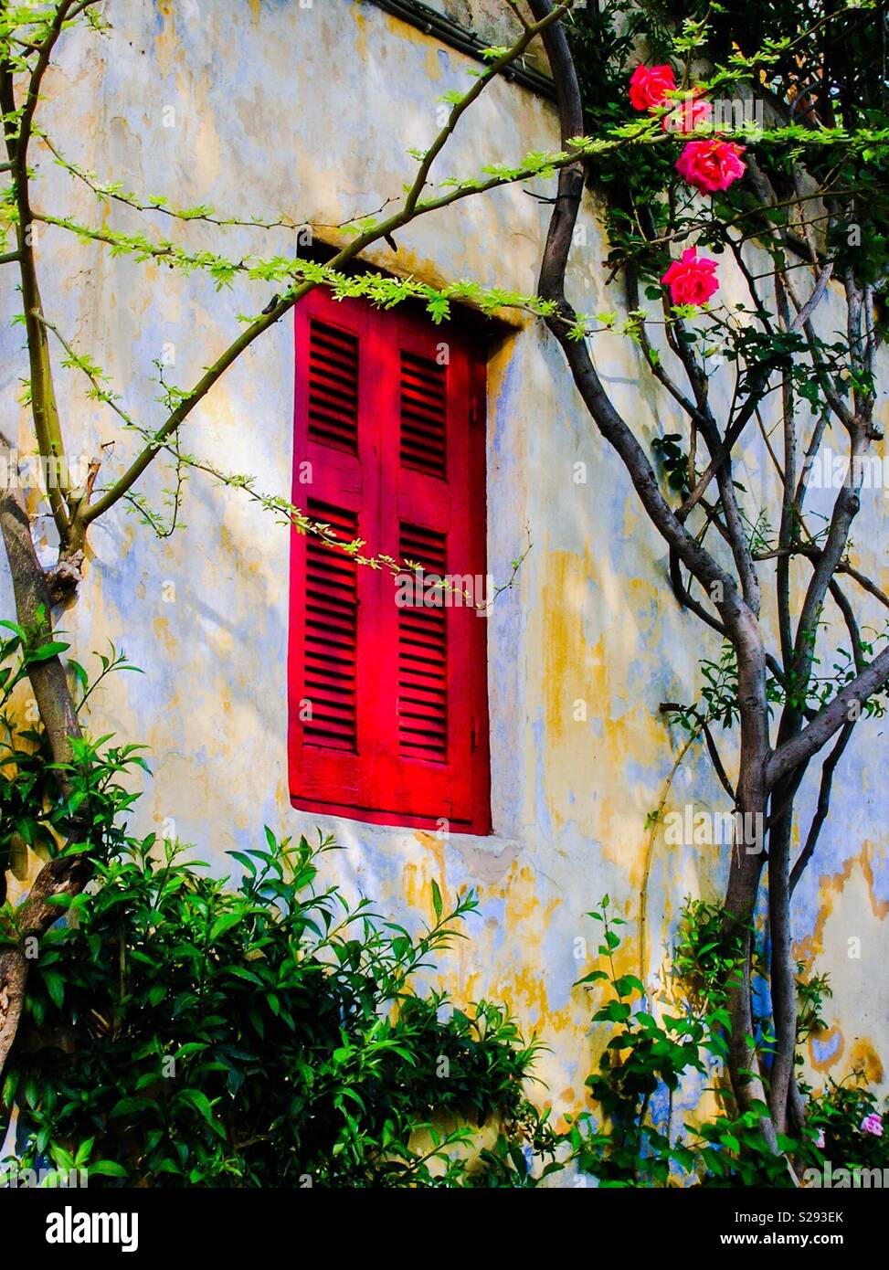 Greek window shutters Stock Photo Alamy