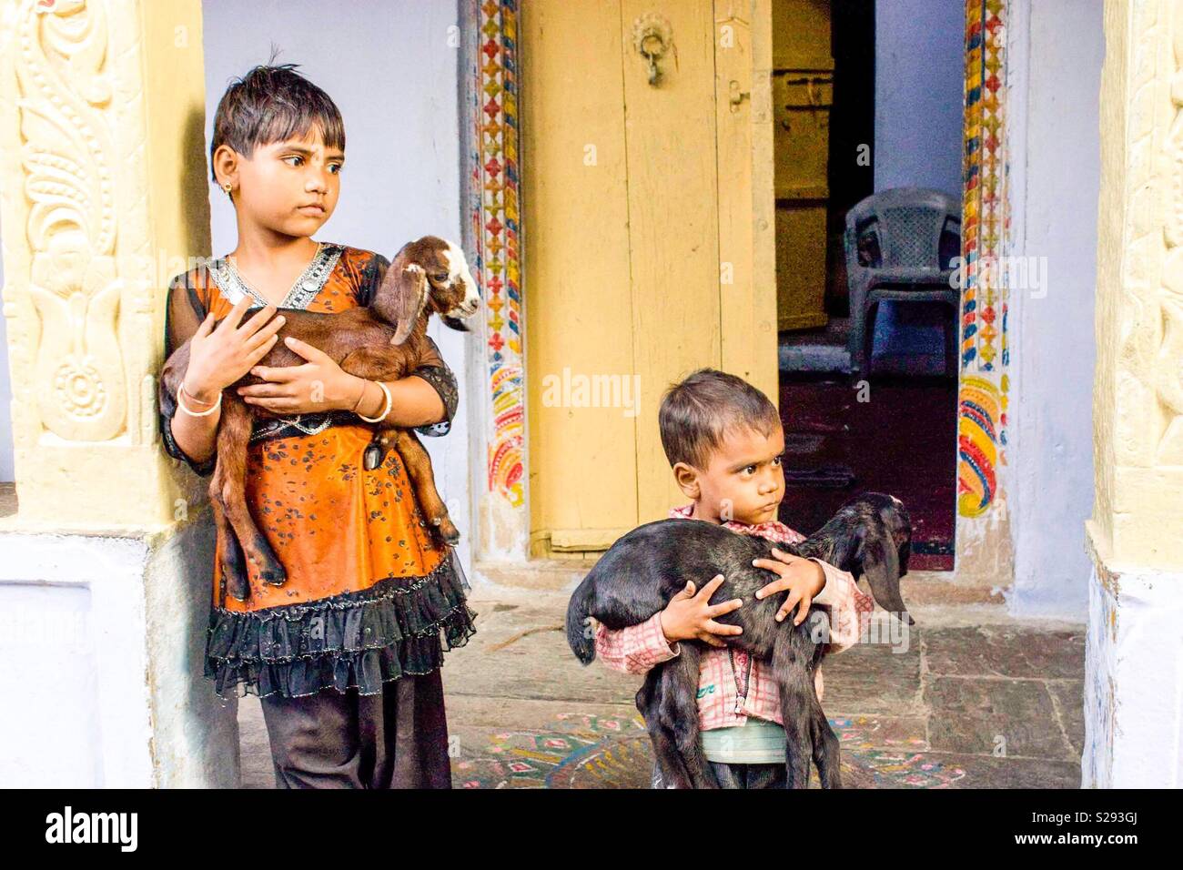 Two Indian children holding kid goats - Smartphone Captured Stock Image