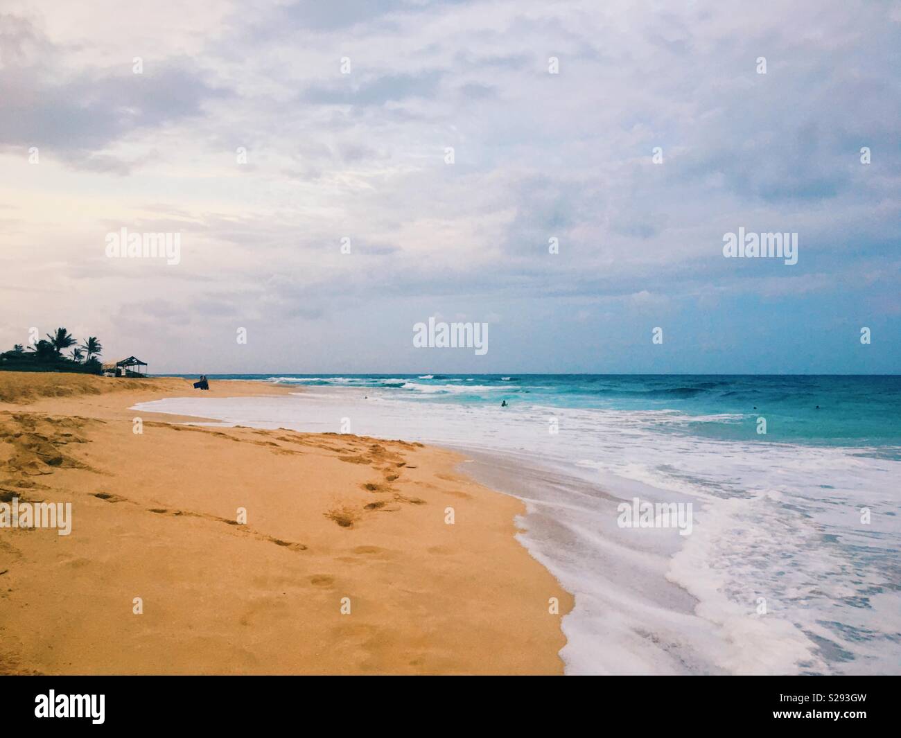 Seascape. White foamy waves reaching up  from the blue ocean to a sandy beach, erasing footprints. Palm trees in the distance. Room for copy. - Smartphone Captured Stock Image